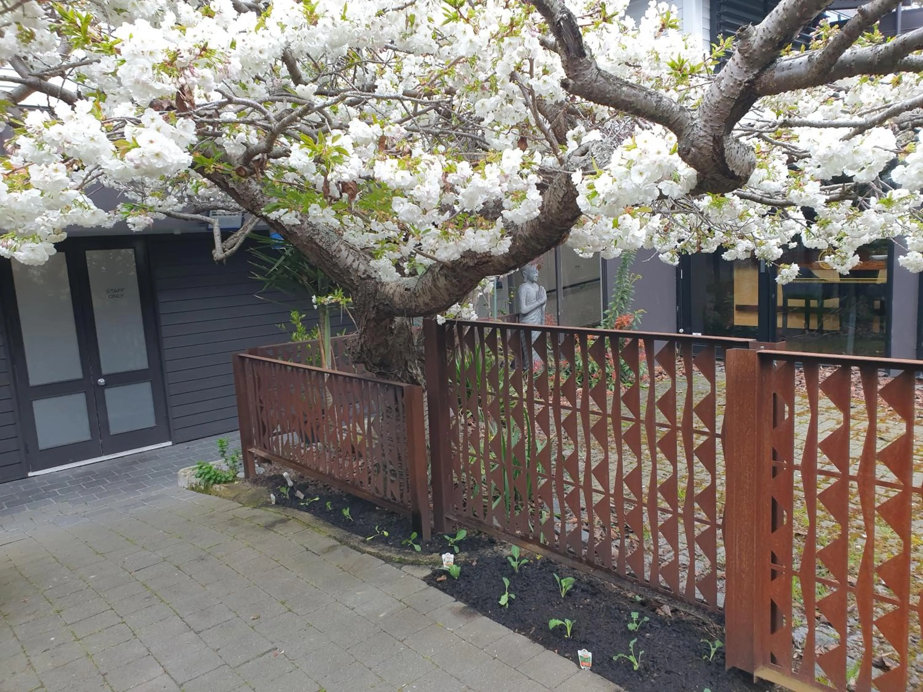 Garden in Aurora on George