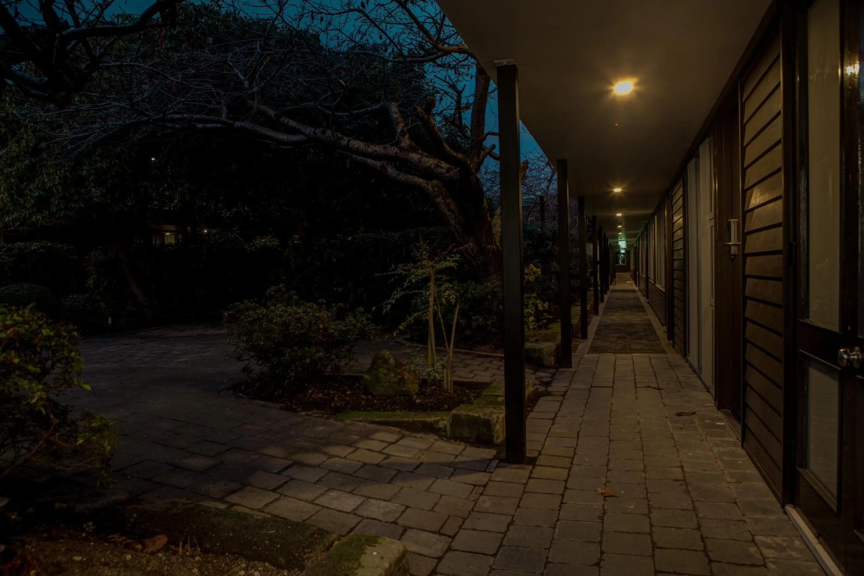 Property building in Aurora on George