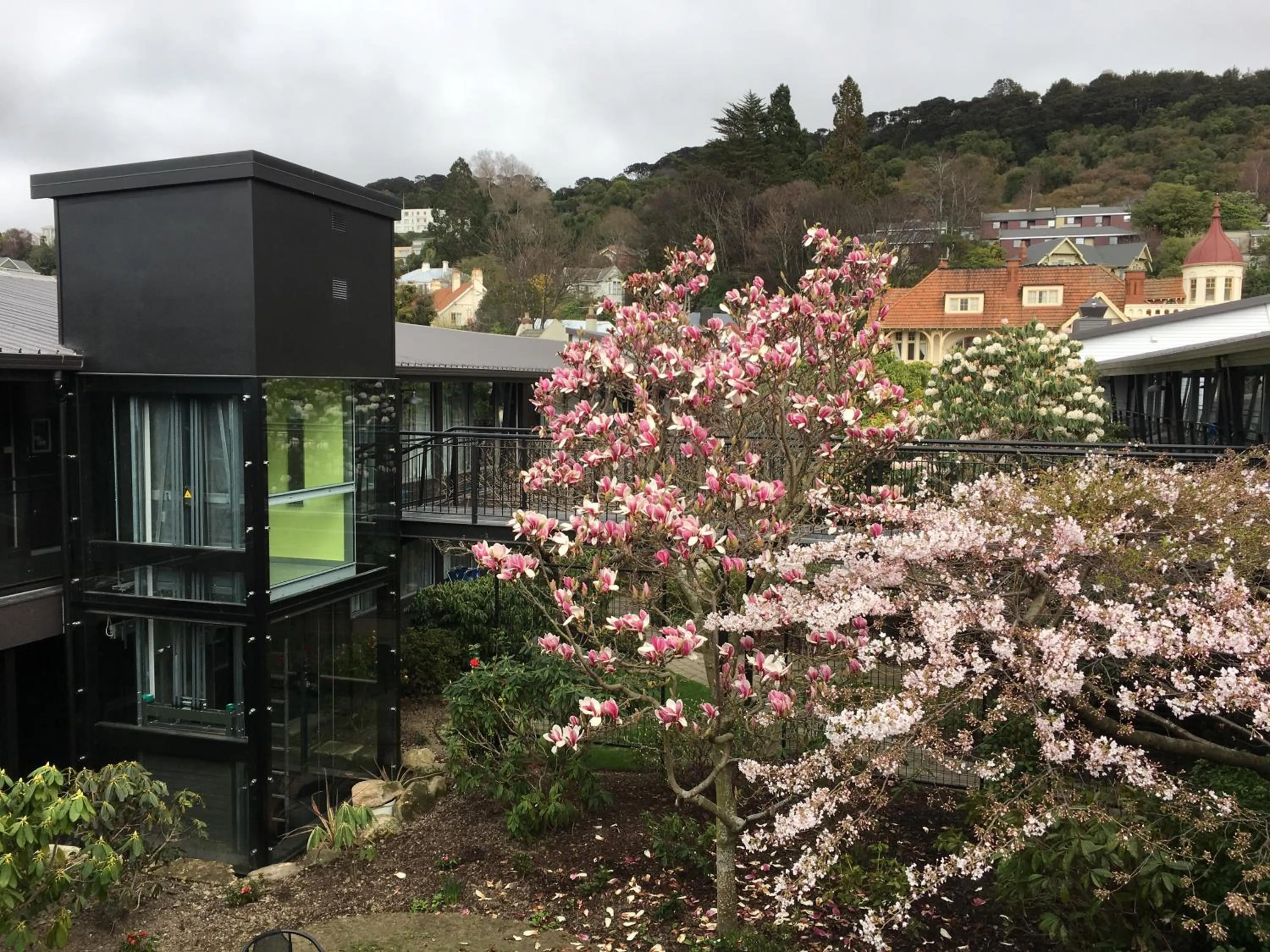 Property building in Aurora on George