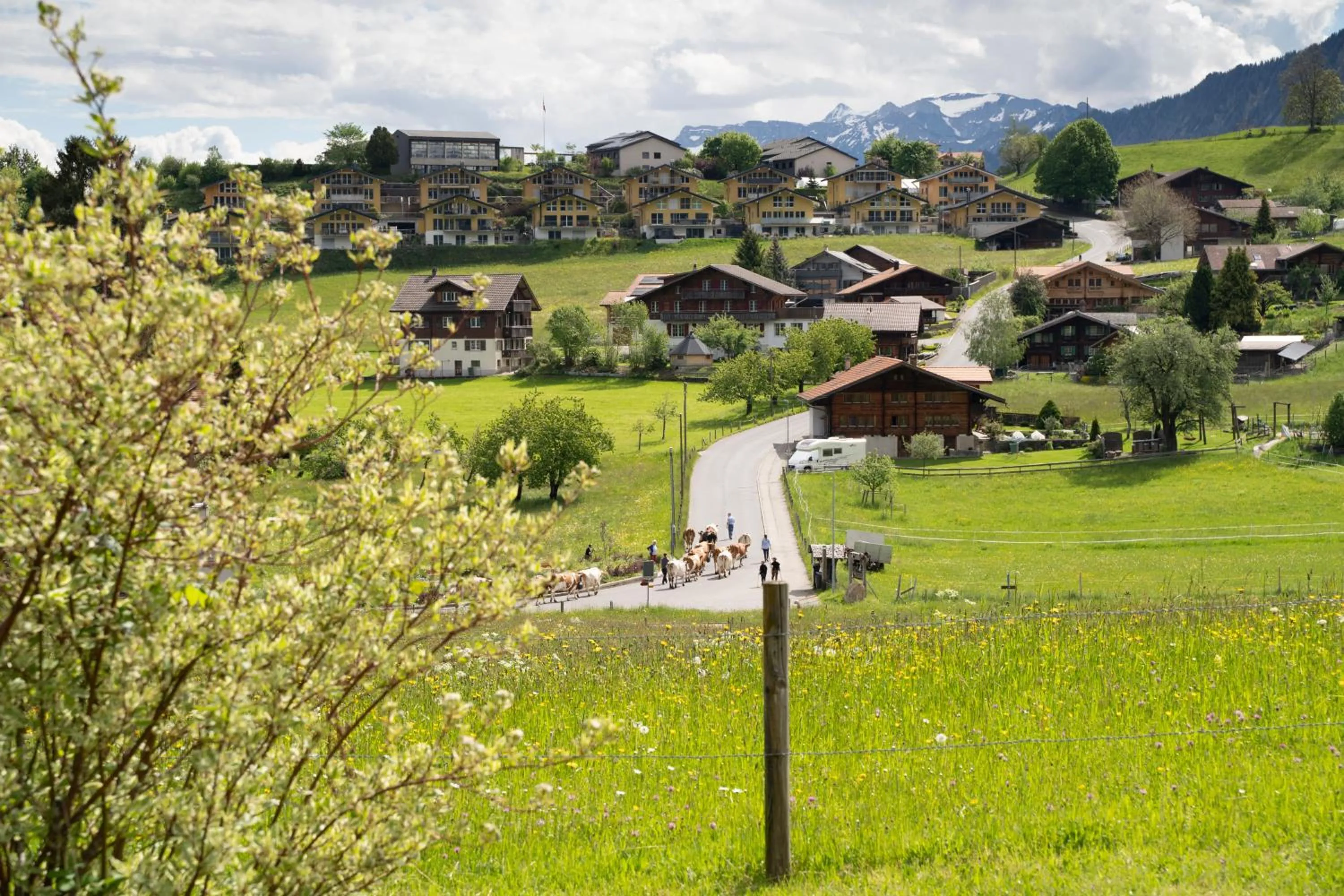 Property building in Bergblick Lodge - 3 Sterne Garni - Neueröffnung
