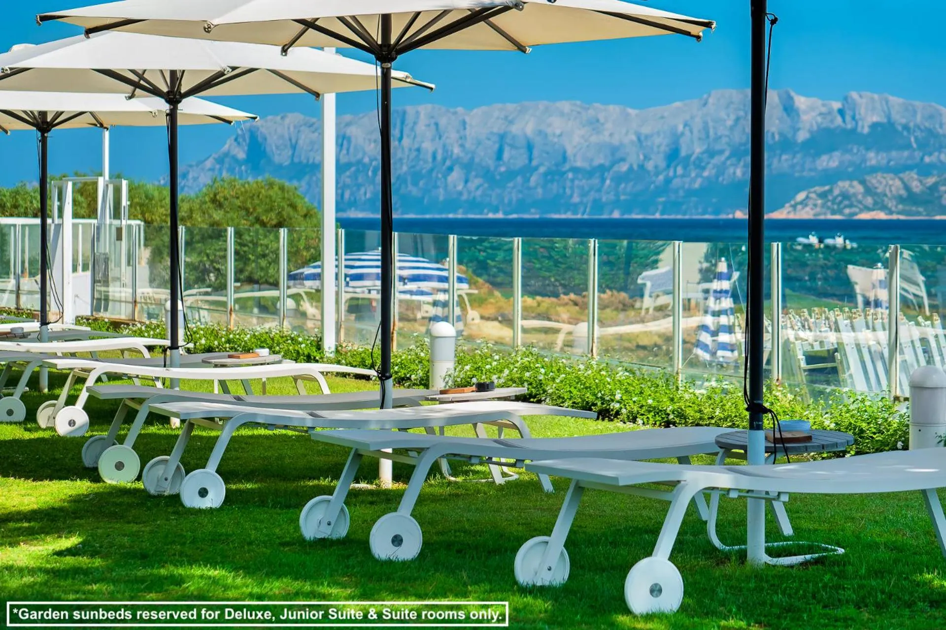 Garden in The Pelican Beach Resort & SPA - Adults Only