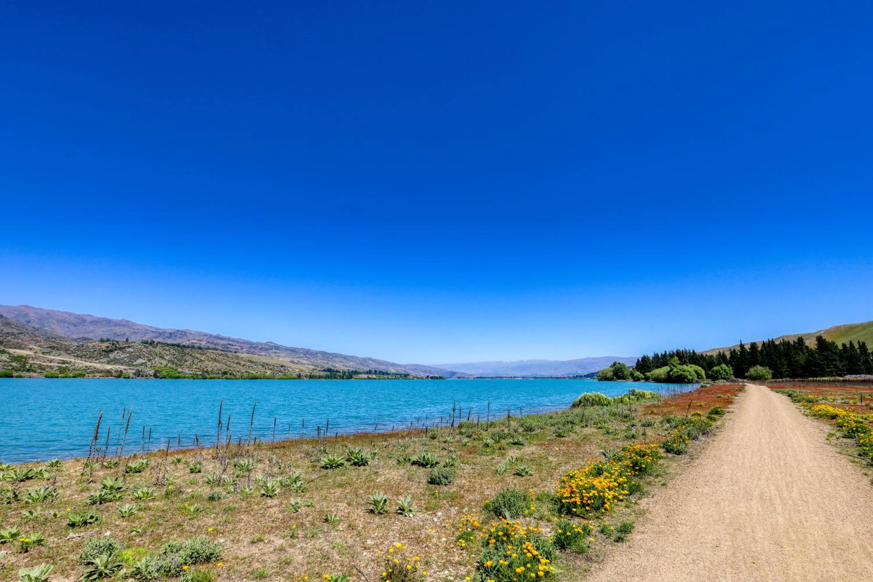 Cycling in Marsden Lake Resort Central Otago