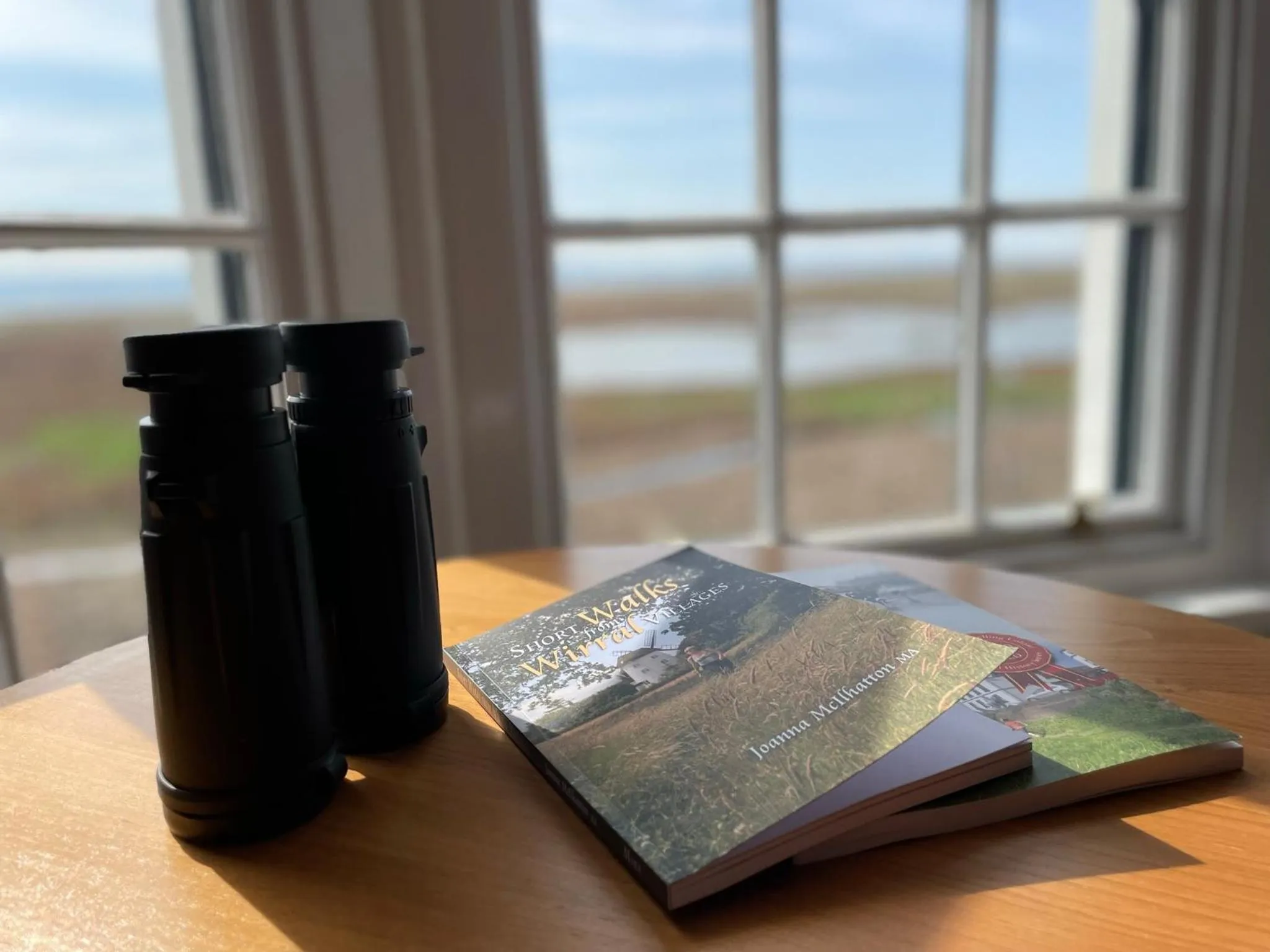 View (from property/room) in The Ship