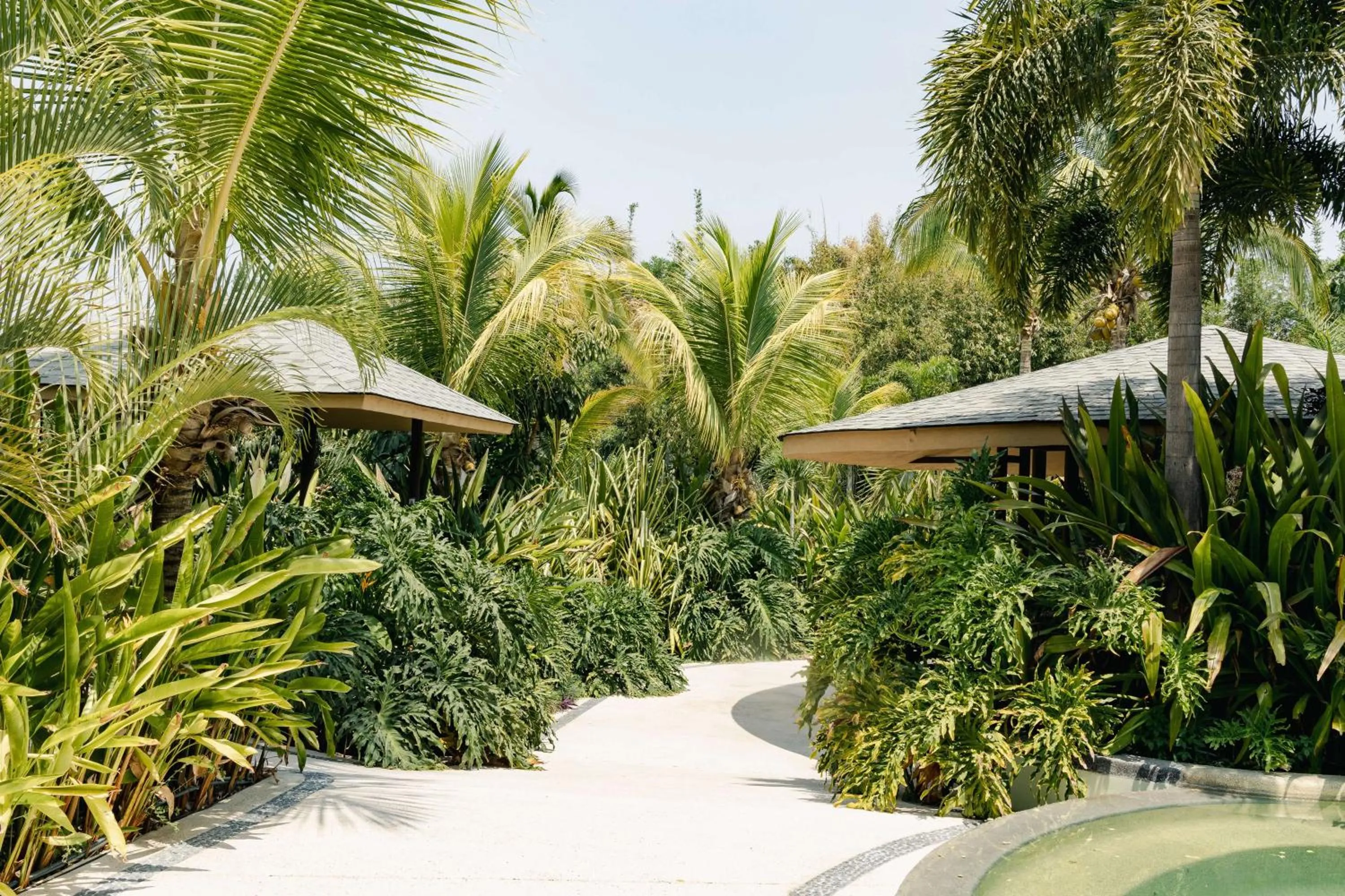 Pool view in Soul Spring Sanctuary Cuernavaca