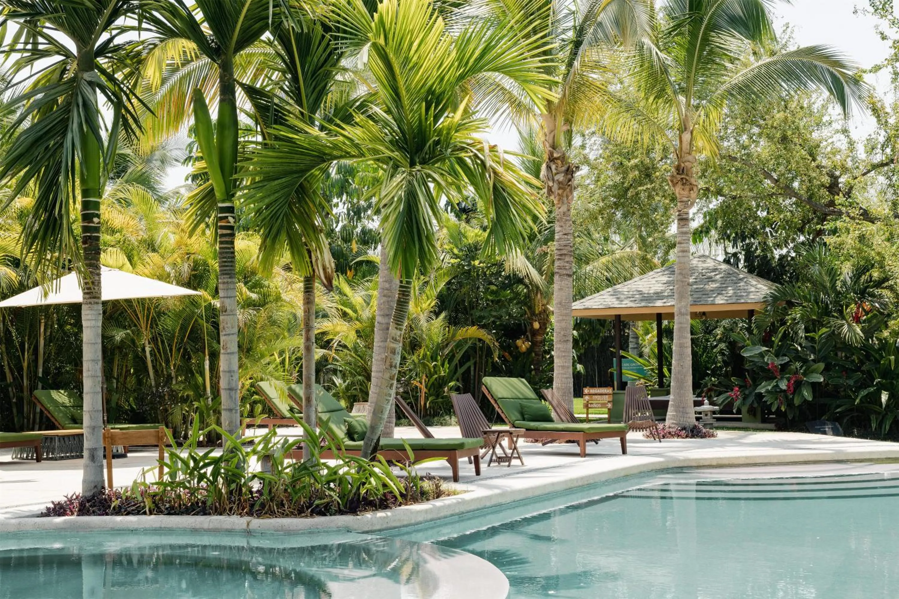 Pool view in Soul Spring Sanctuary Cuernavaca