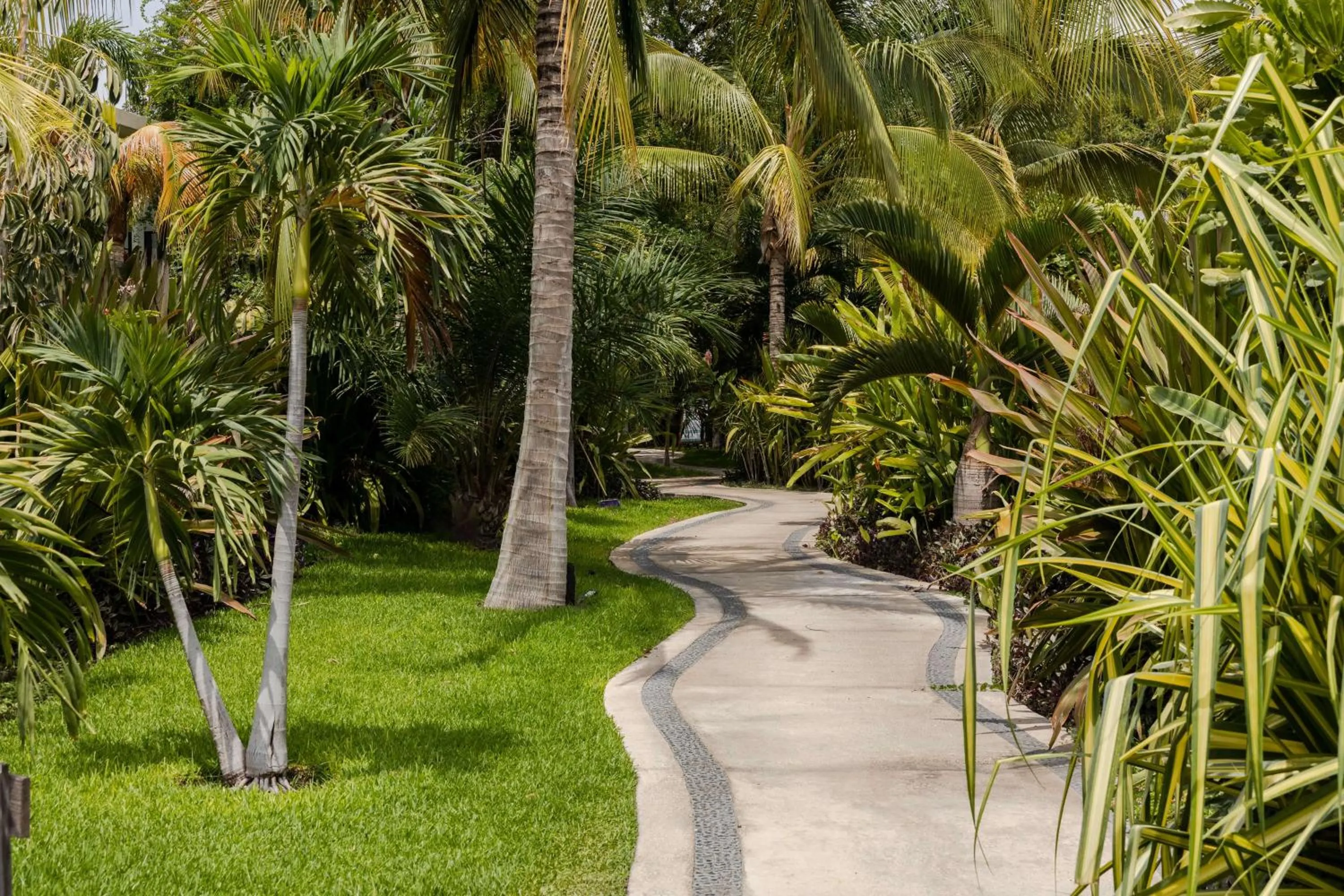 Property building in Soul Spring Sanctuary Cuernavaca