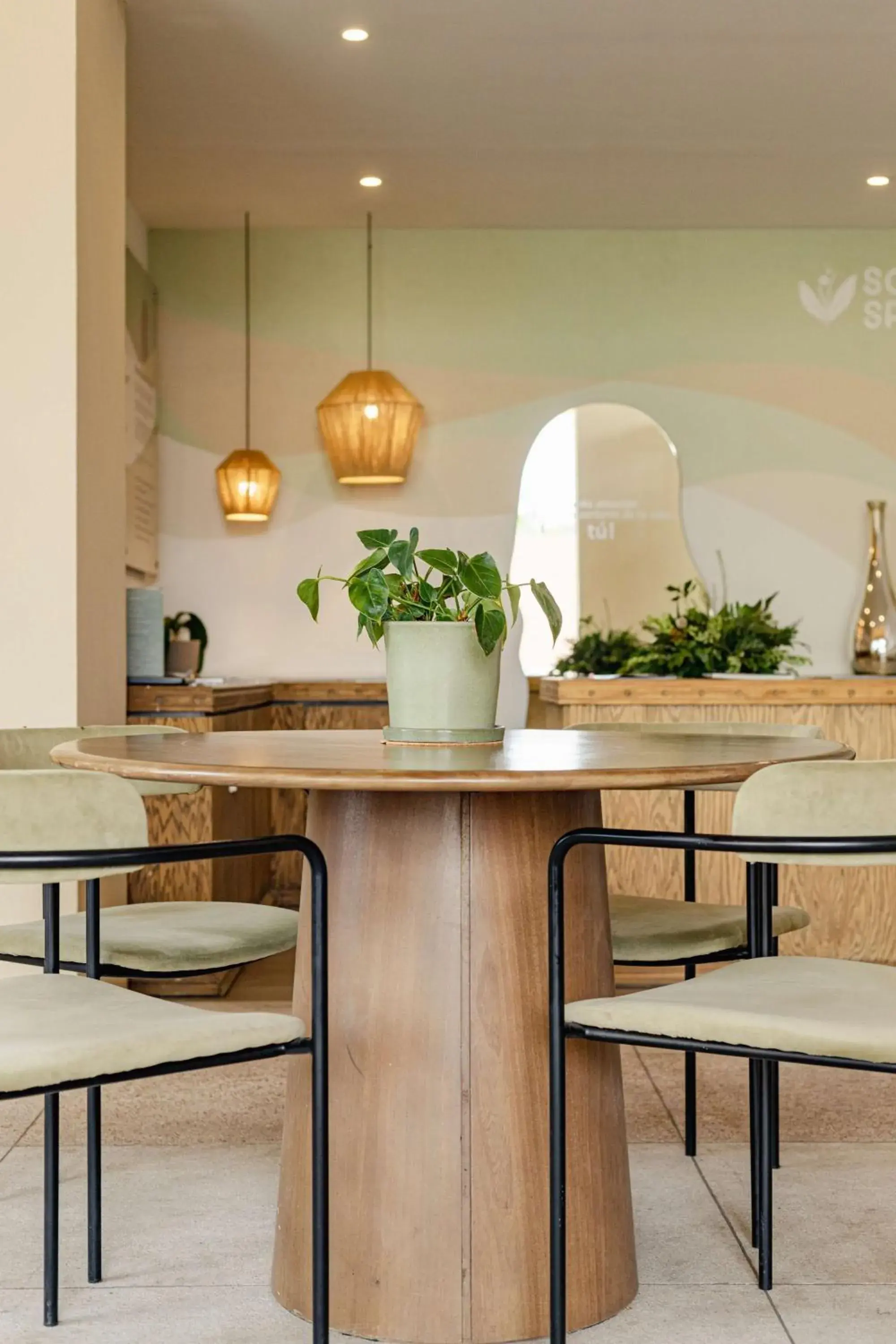 Lobby or reception in Soul Spring Sanctuary Cuernavaca Lobby or reception in Soul Spring Sanctuary Cuernavaca