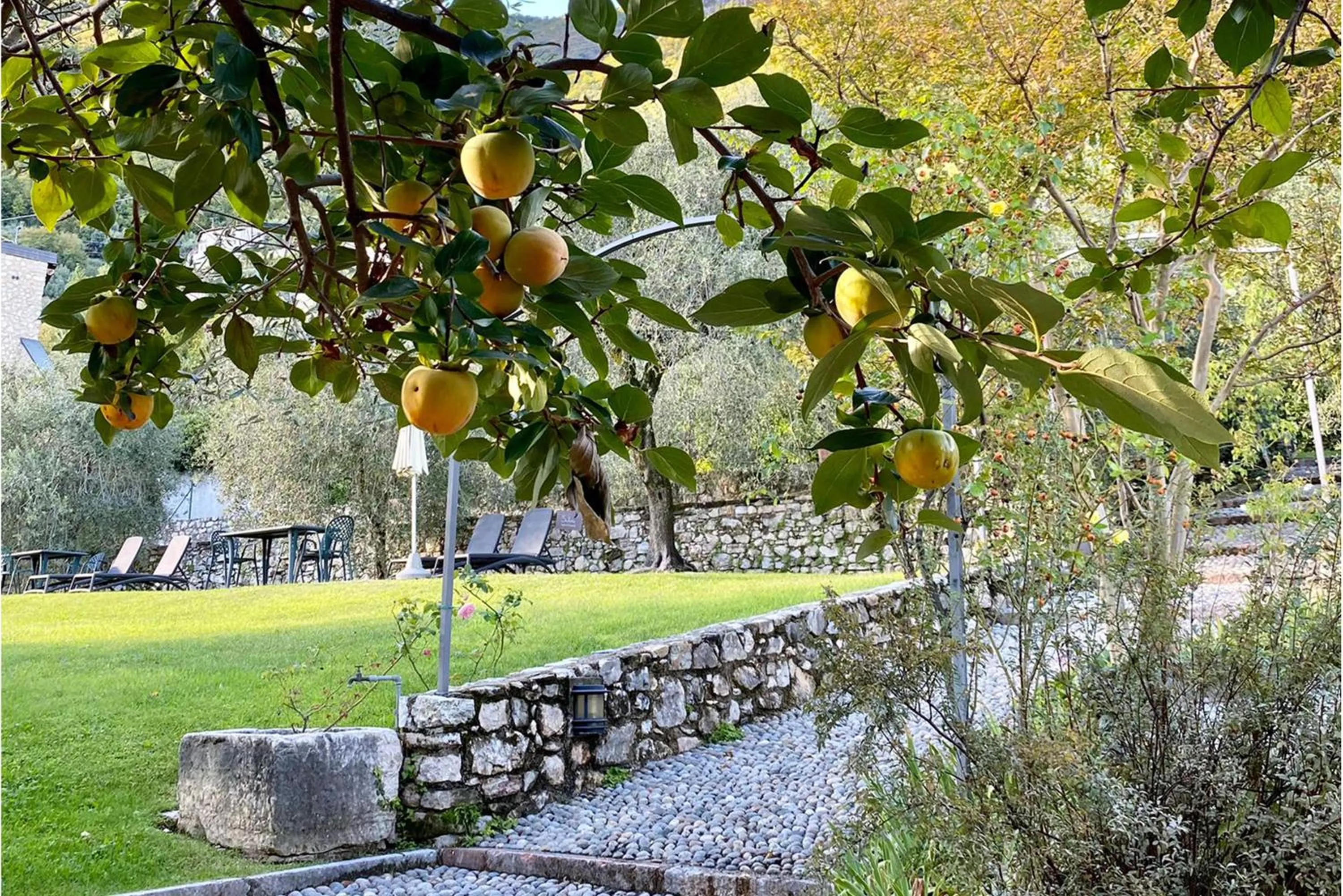 Garden in Residence Fondo La Campagnola