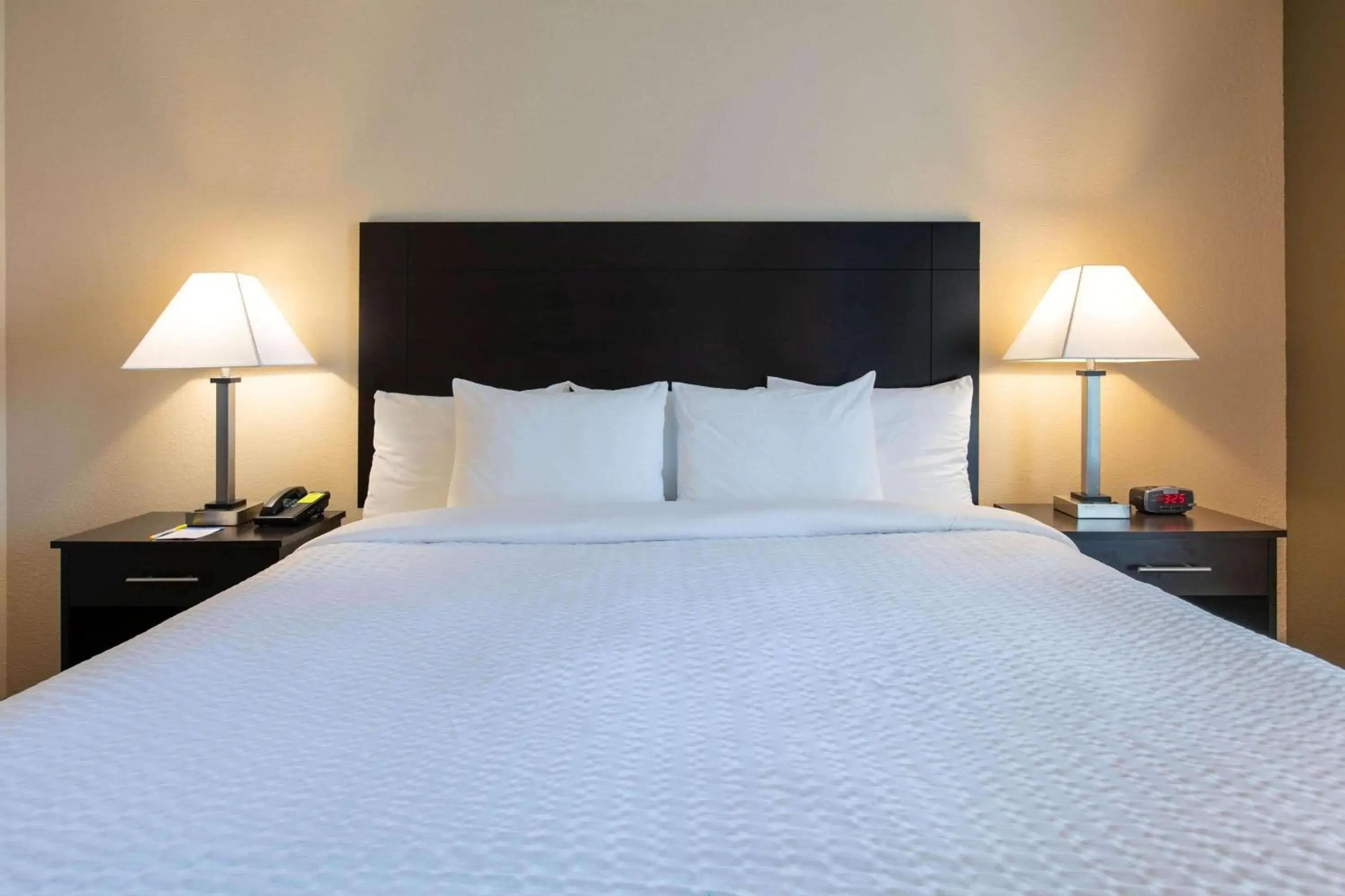 Photo of the whole room, Bed in Days Inn & Suites by Wyndham Florence/Jackson Area Photo of the whole room, Bed in Days Inn & Suites by Wyndham Florence/Jackson Area