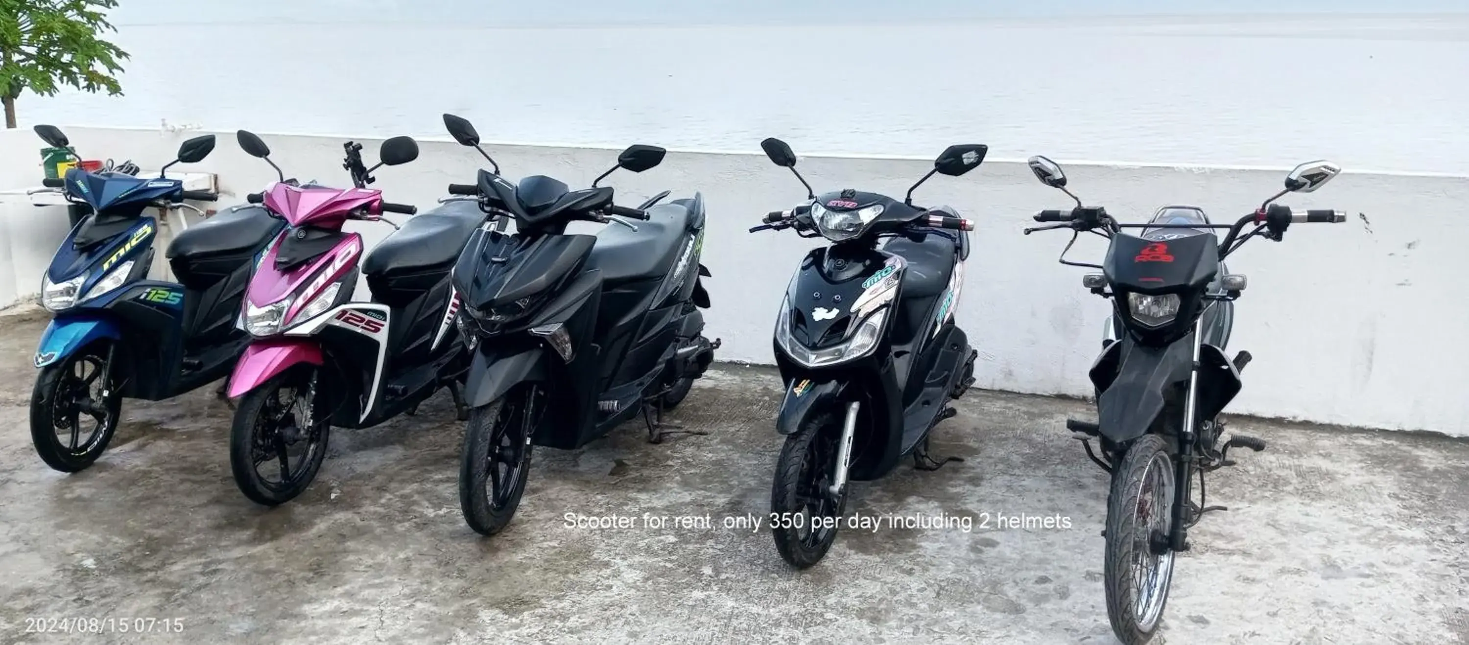 Property building in MLK Bamboo Beachhouse Property building in MLK Bamboo Beachhouse