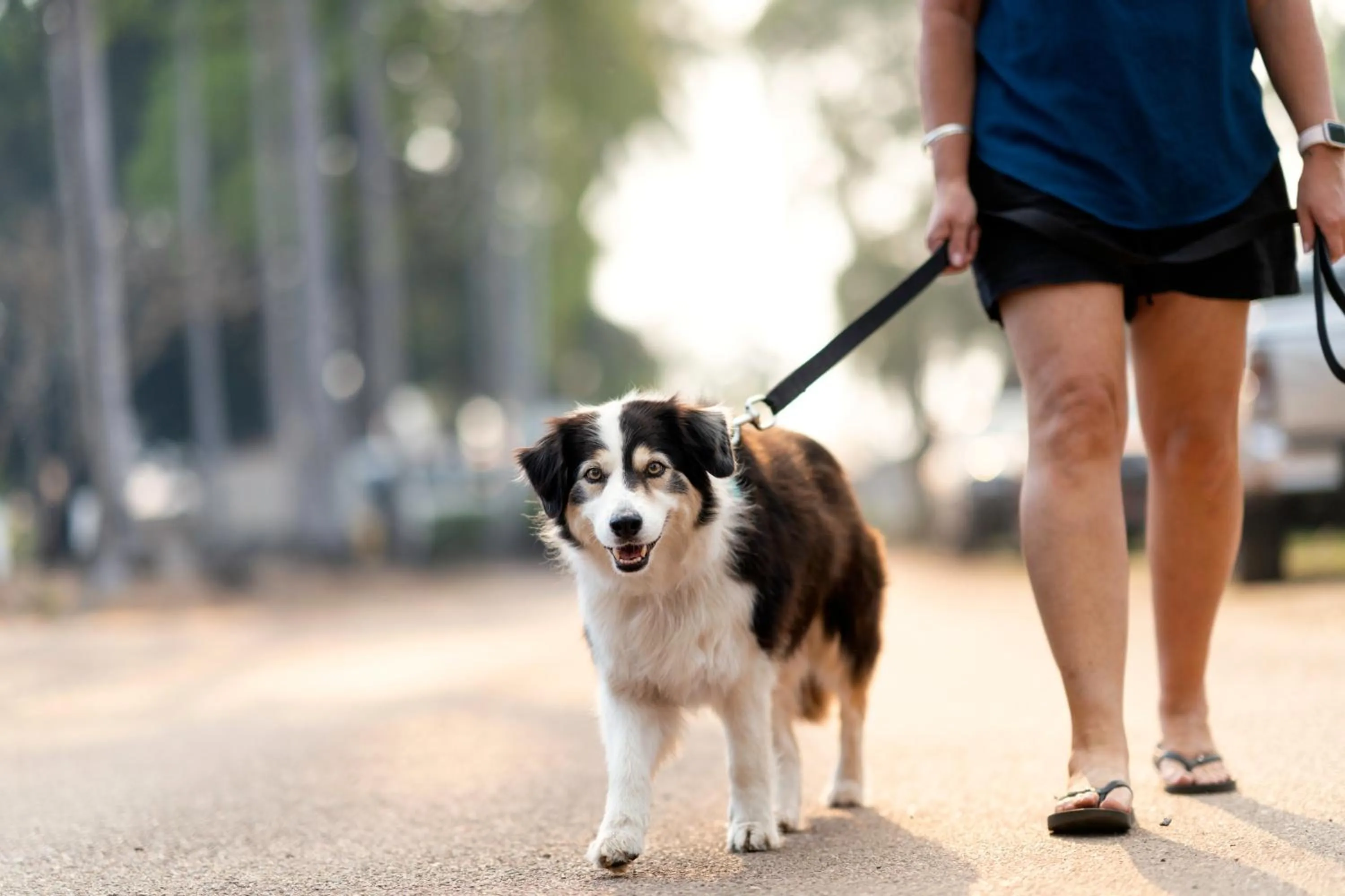 People in Darwin FreeSpirit Resort