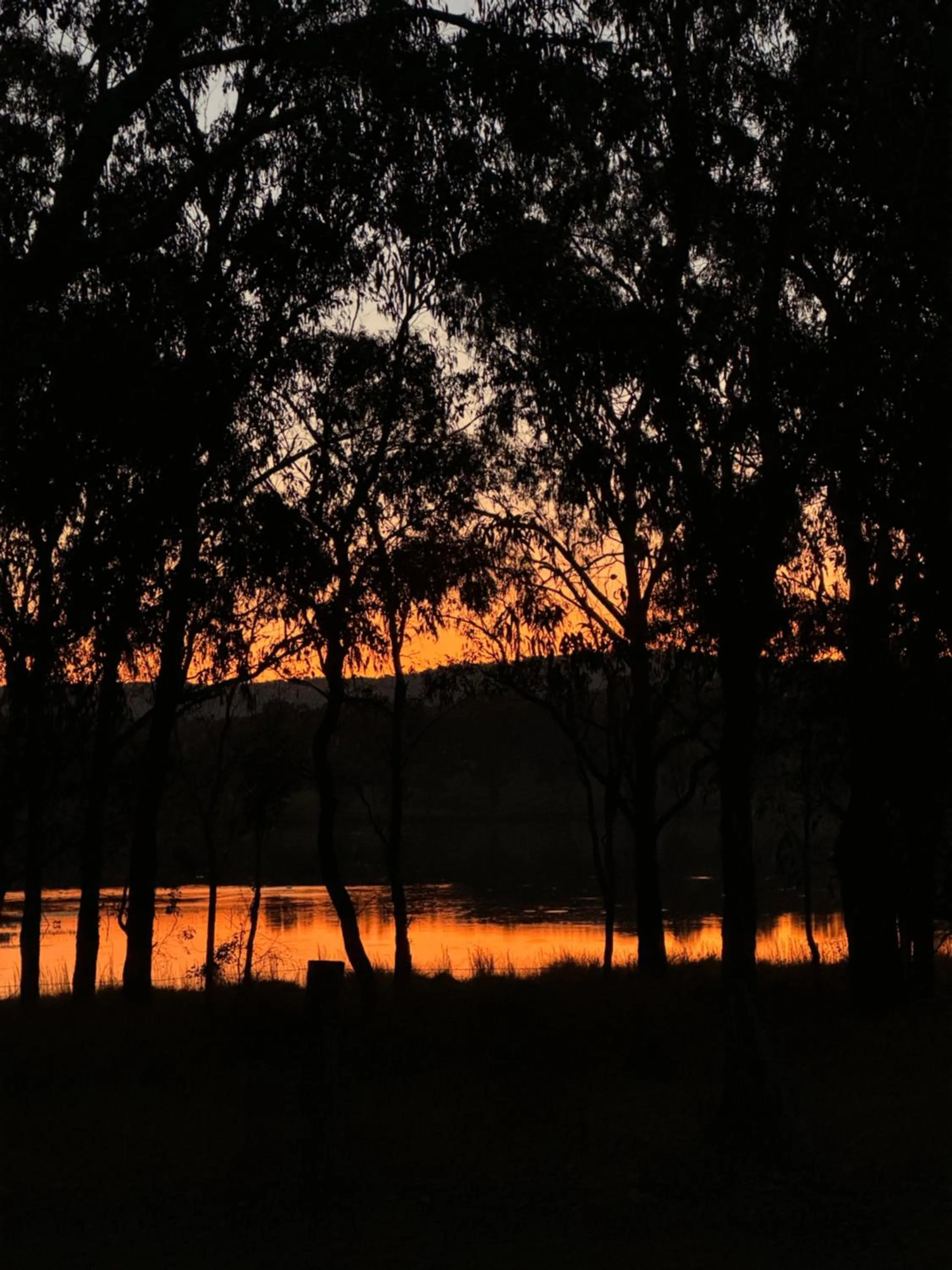 Tiny Away Escape at Granite Belt - Sommerville Valley