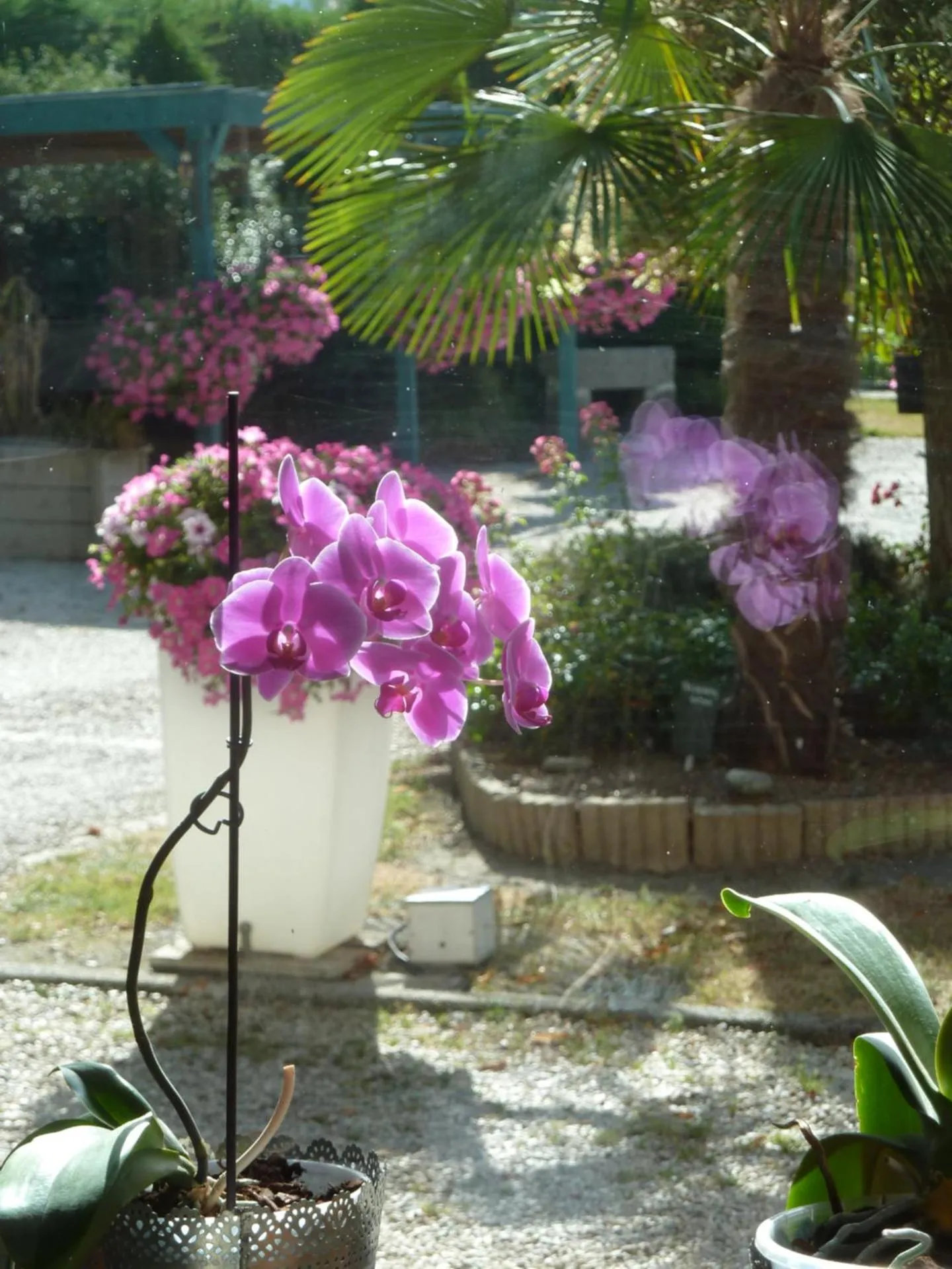 Property building in Les Bruyères du Mont