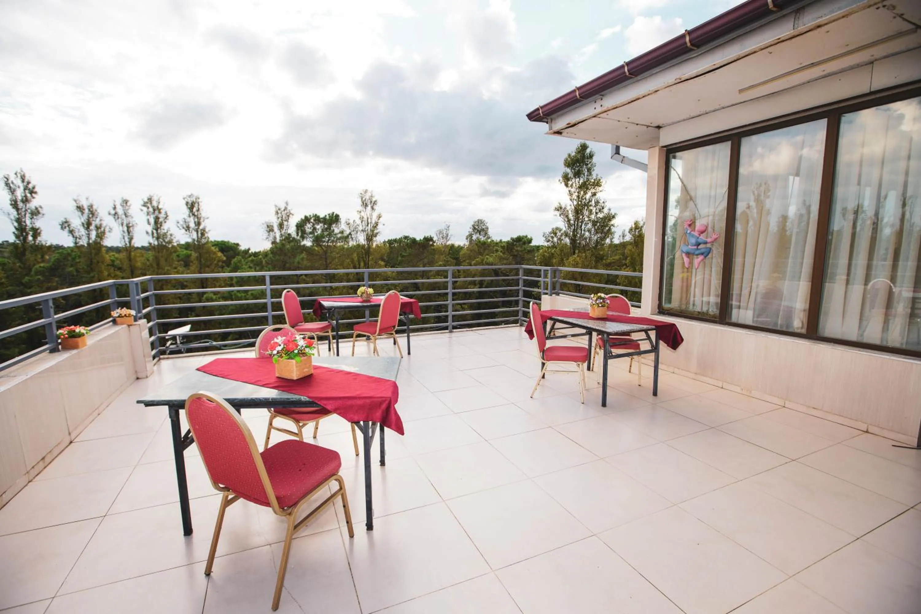 Balcony/Terrace in Hotel Park Green