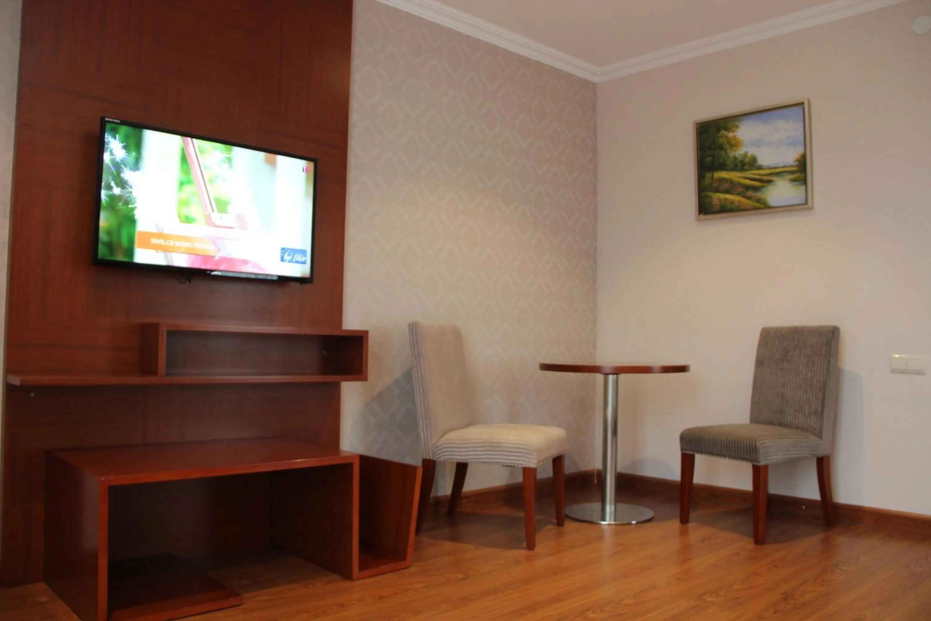 Communal lounge/ TV room in Hotel Park Green