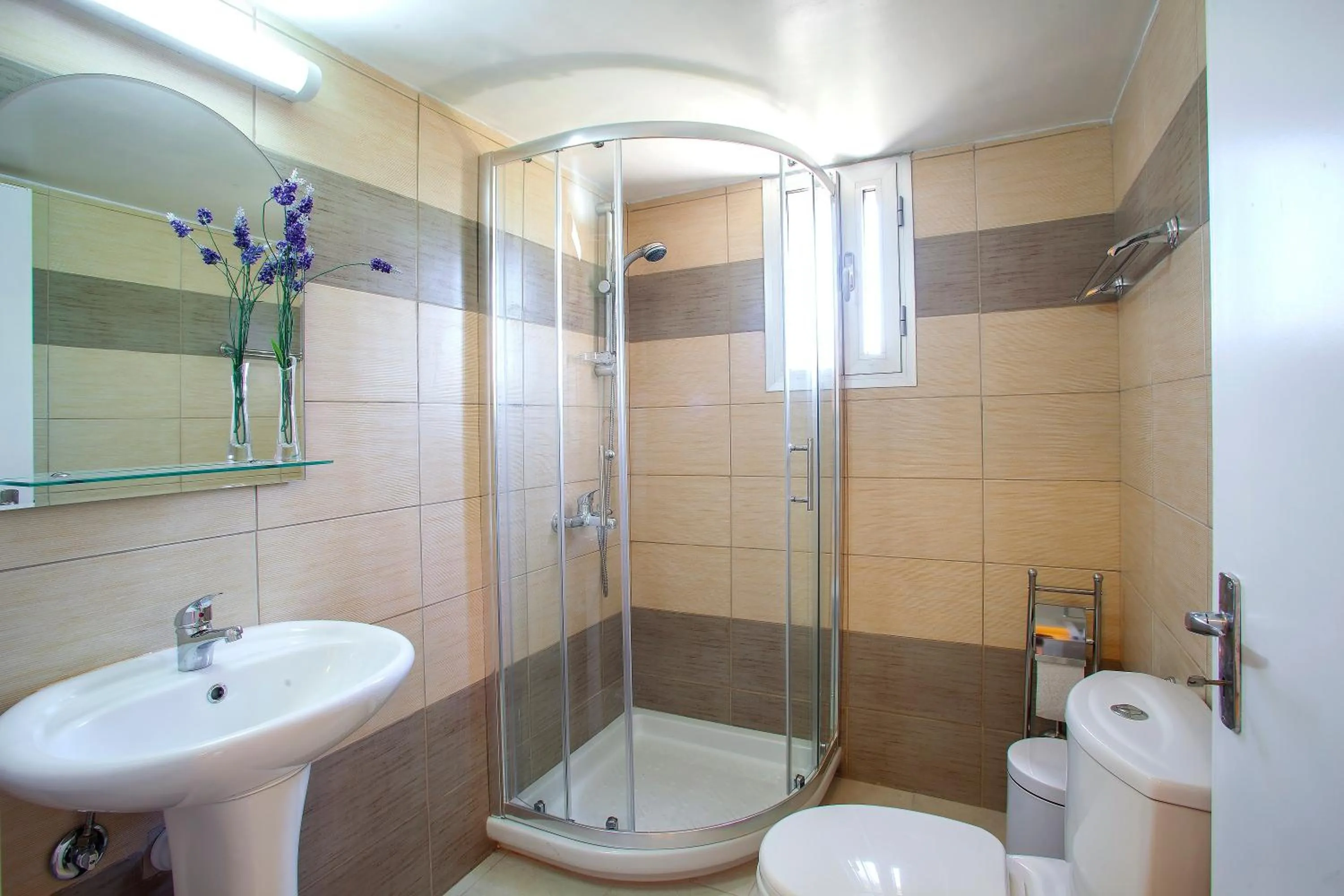 Shower in Castle Holiday Apartments