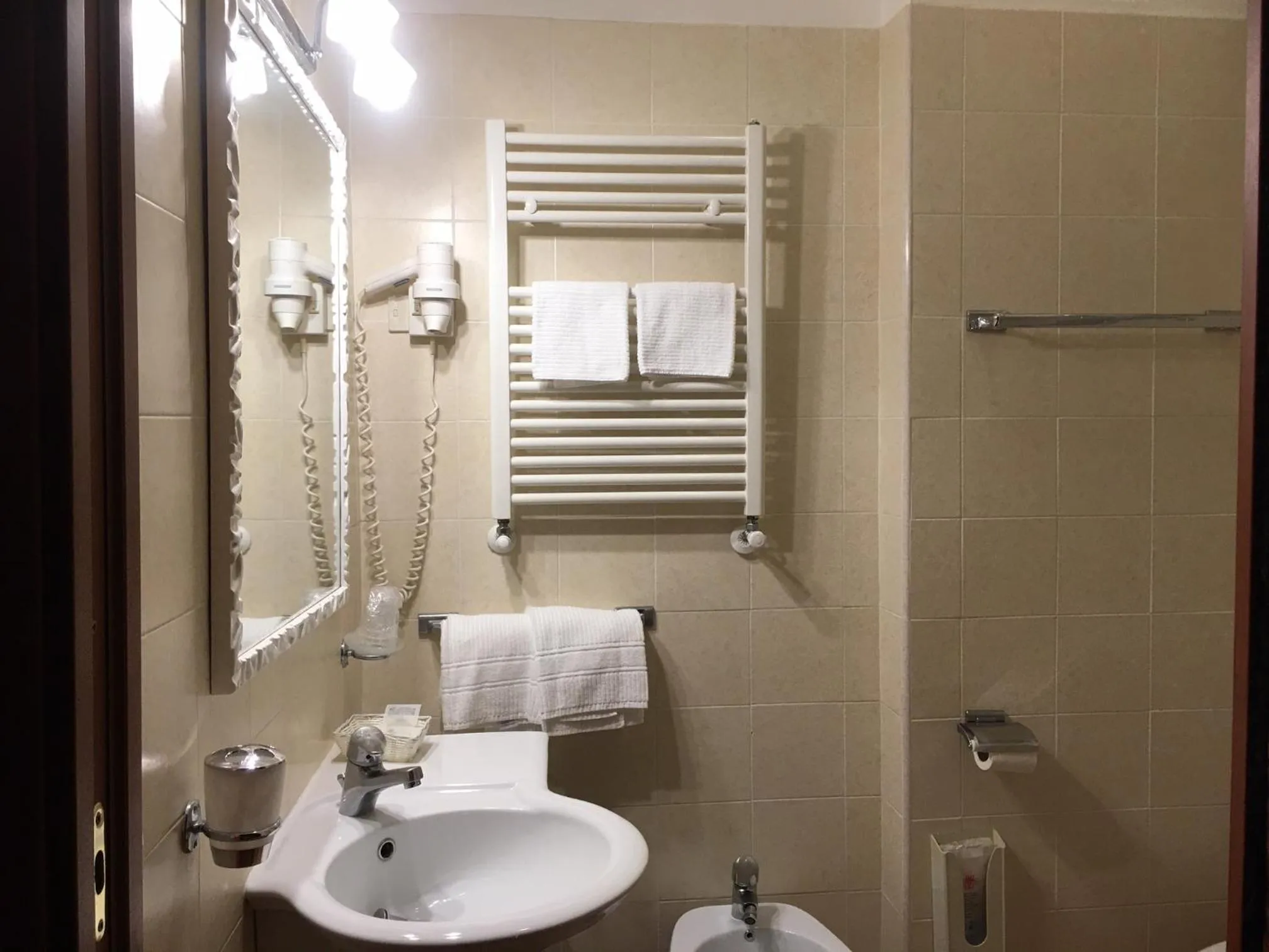 Shower in Hotel Delle Ortensie
