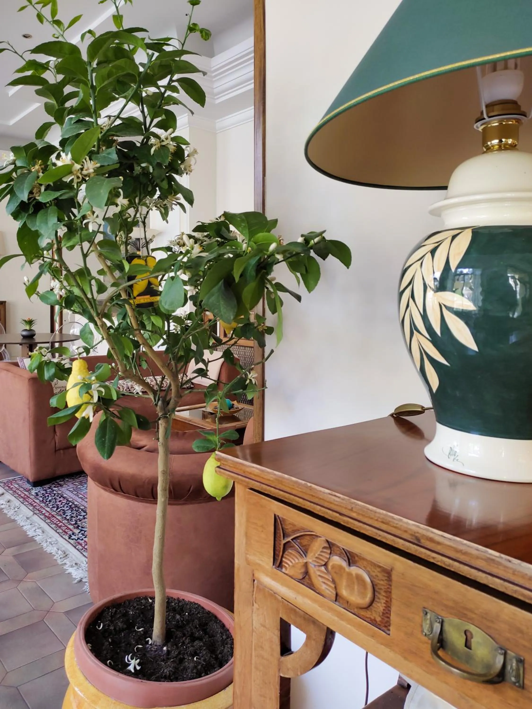 Lobby or reception in Hotel Delle Ortensie
