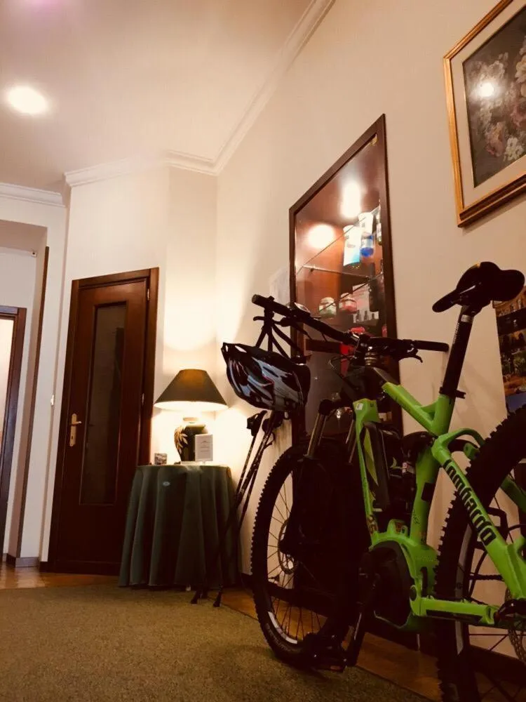 Cycling in Hotel Delle Ortensie