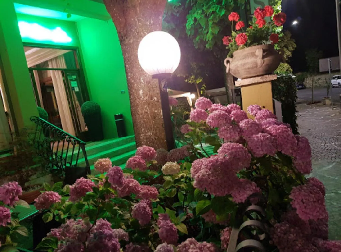 Garden in Hotel Delle Ortensie