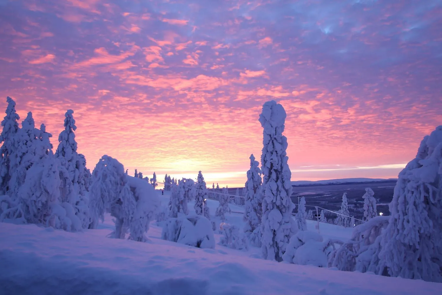 Winter in Hotel Hullu Poro