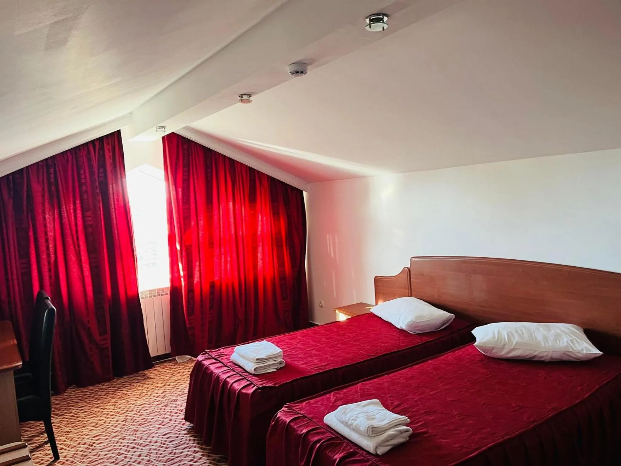Standard Single Room in Hotel Flora