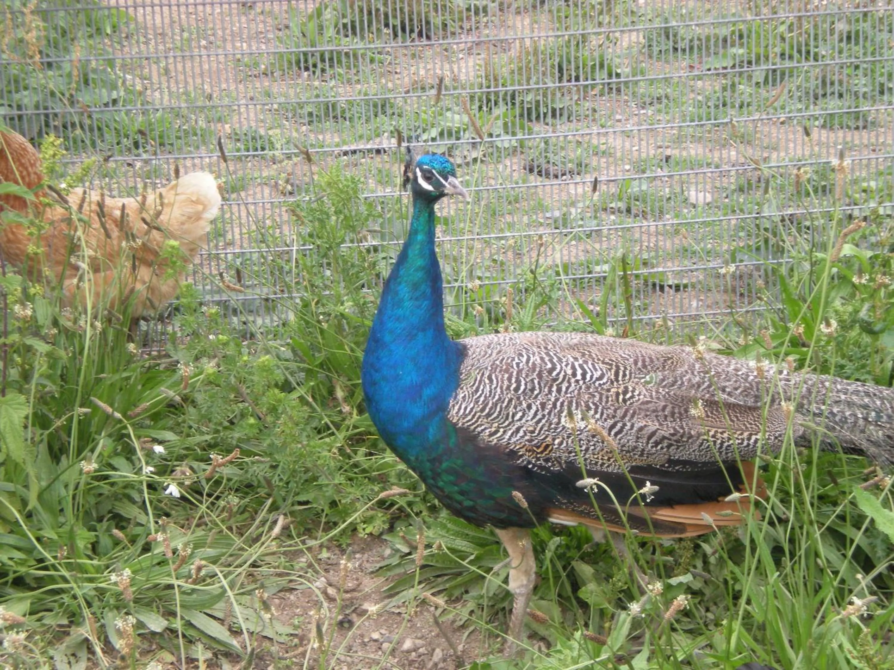 Domaine de kerbillec