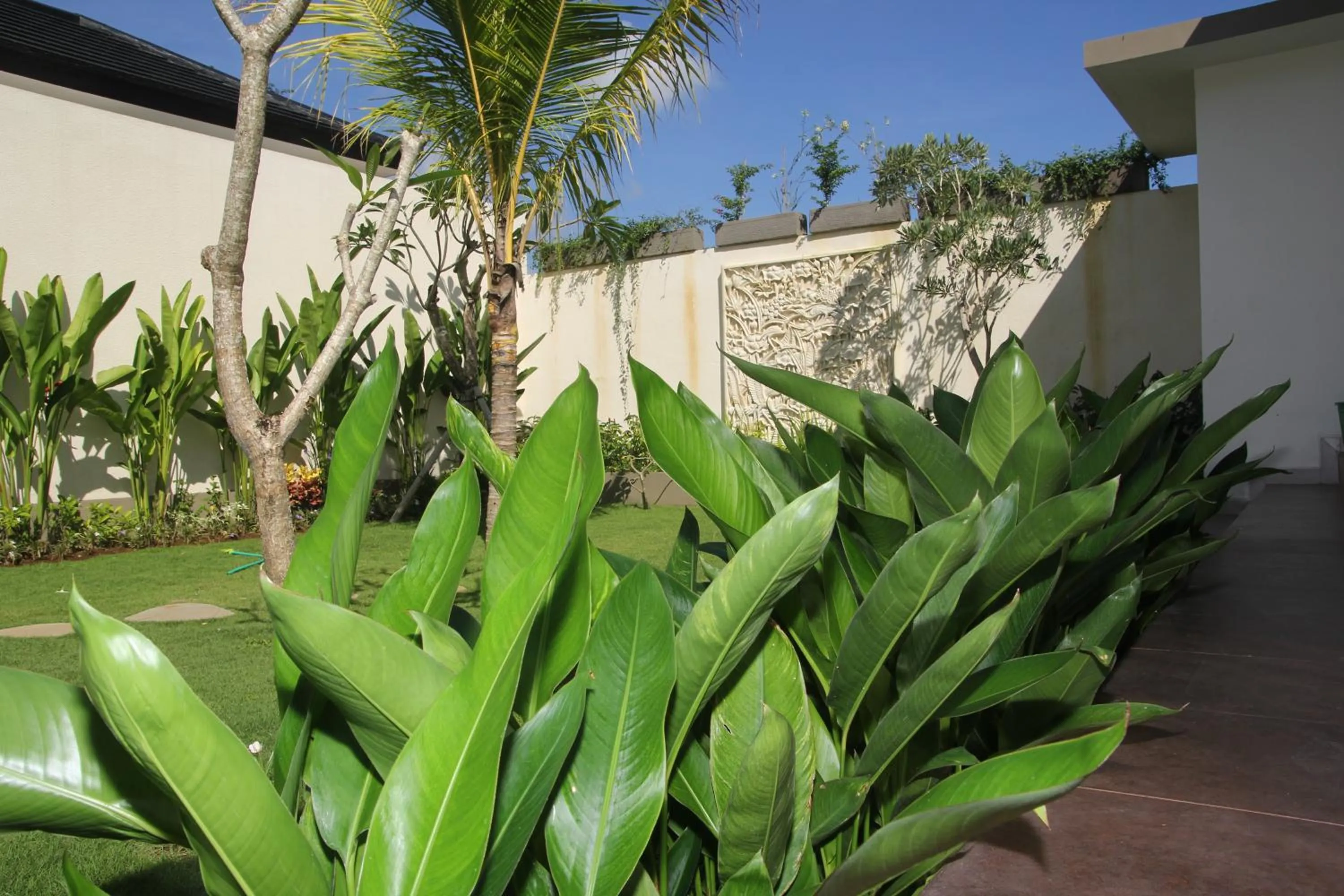Garden in Muaya Villa