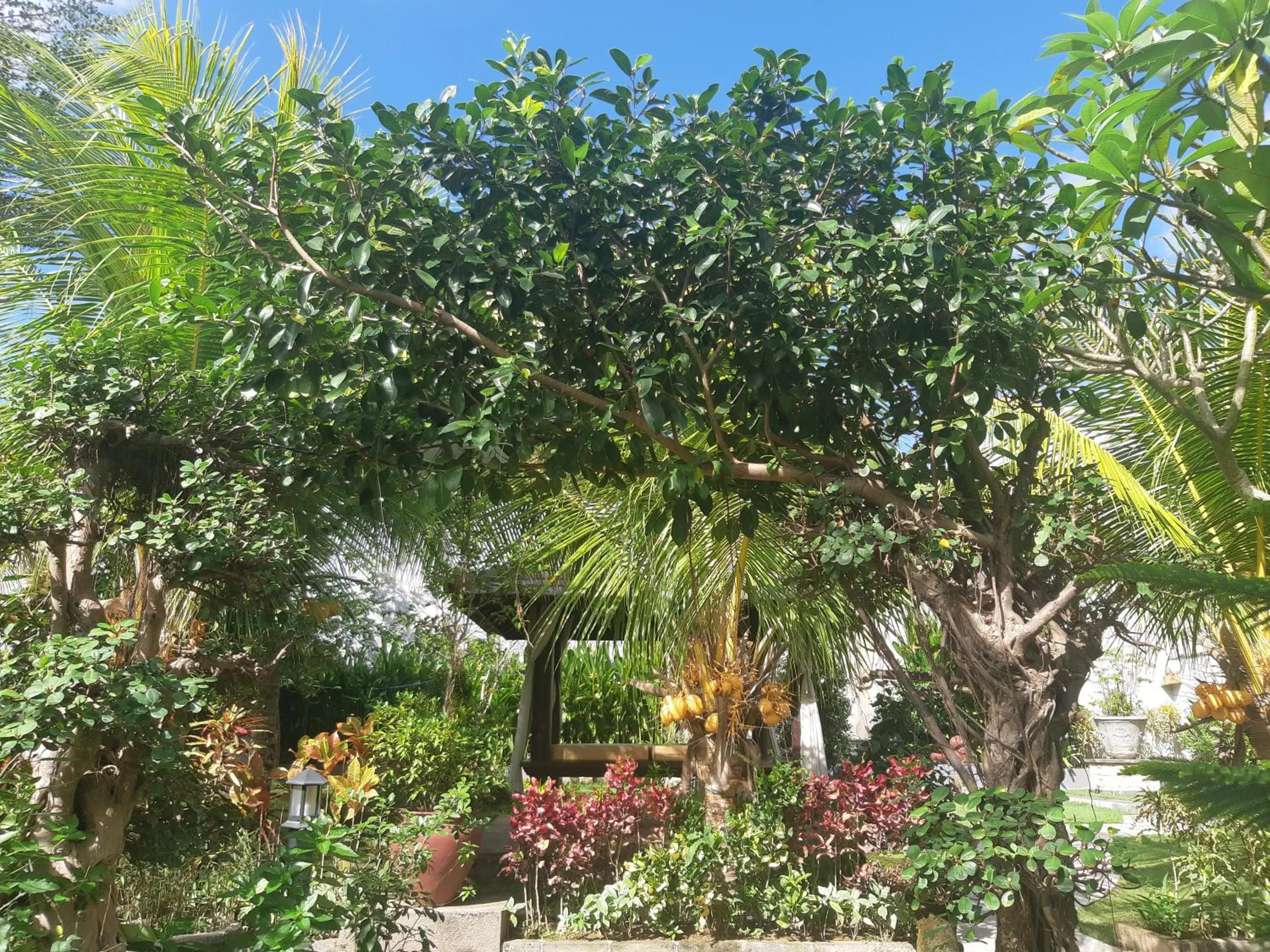 Garden in Muaya Villa