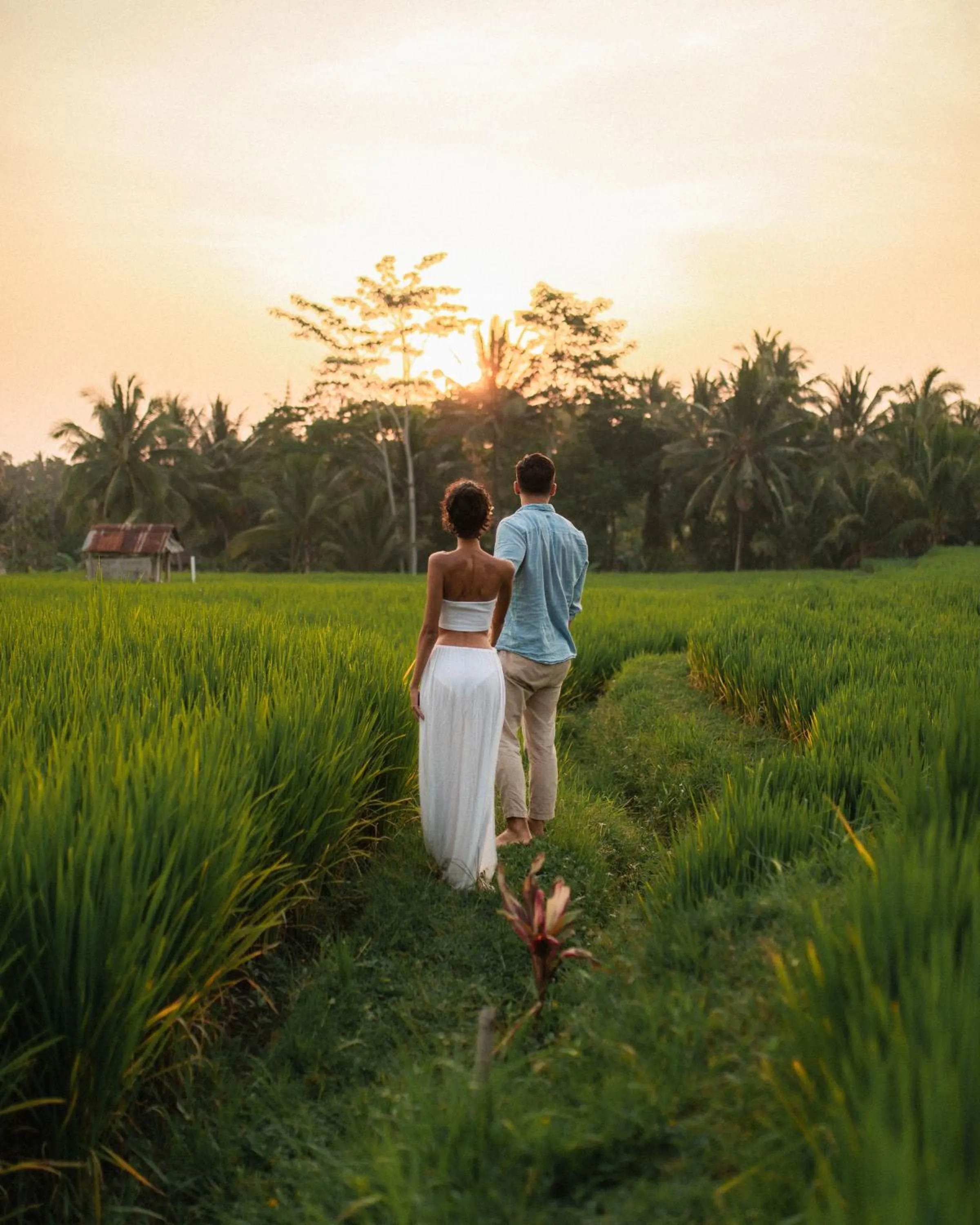 Sunset in Jannata Resort and Spa