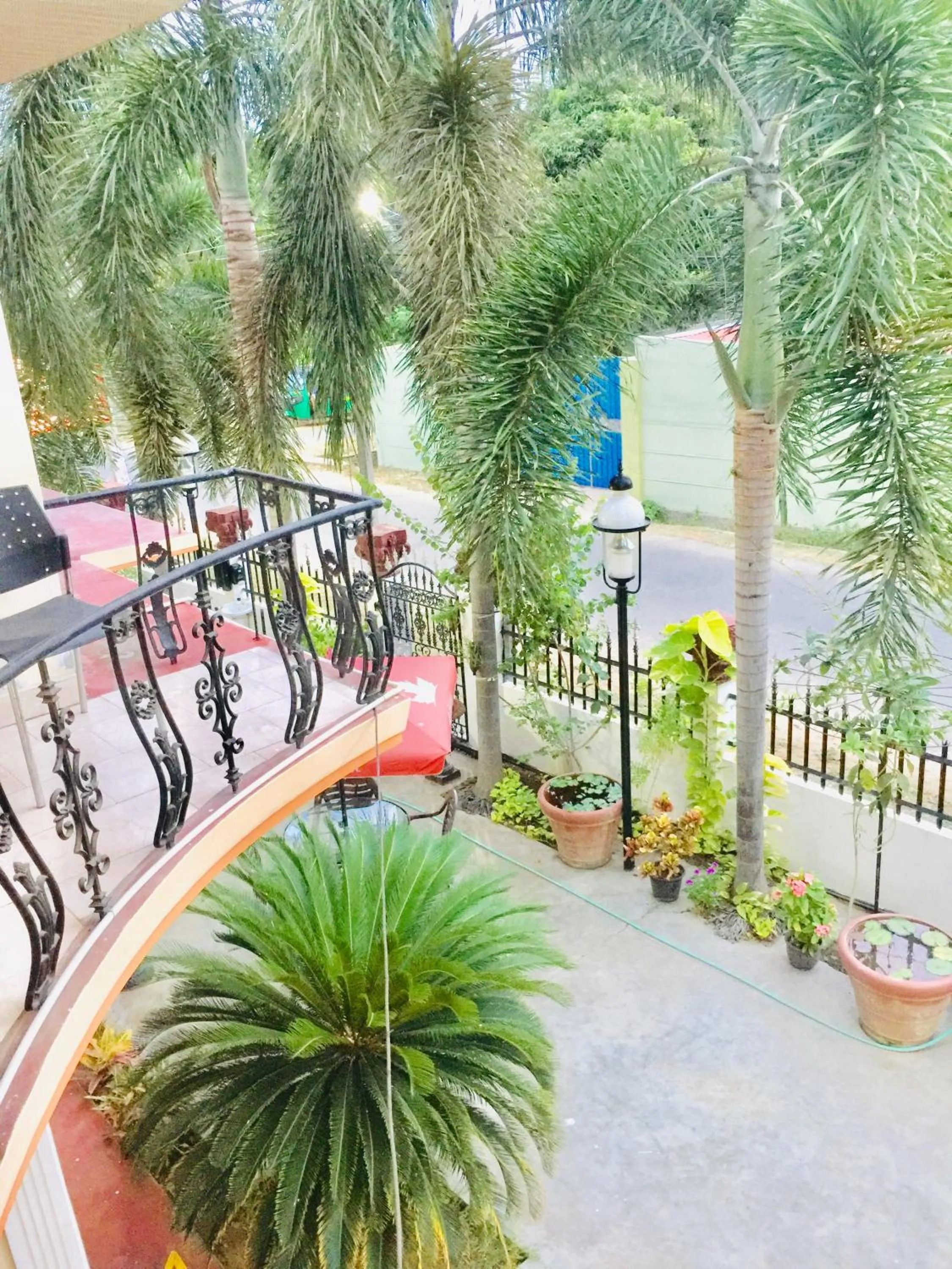 Senthil Complex