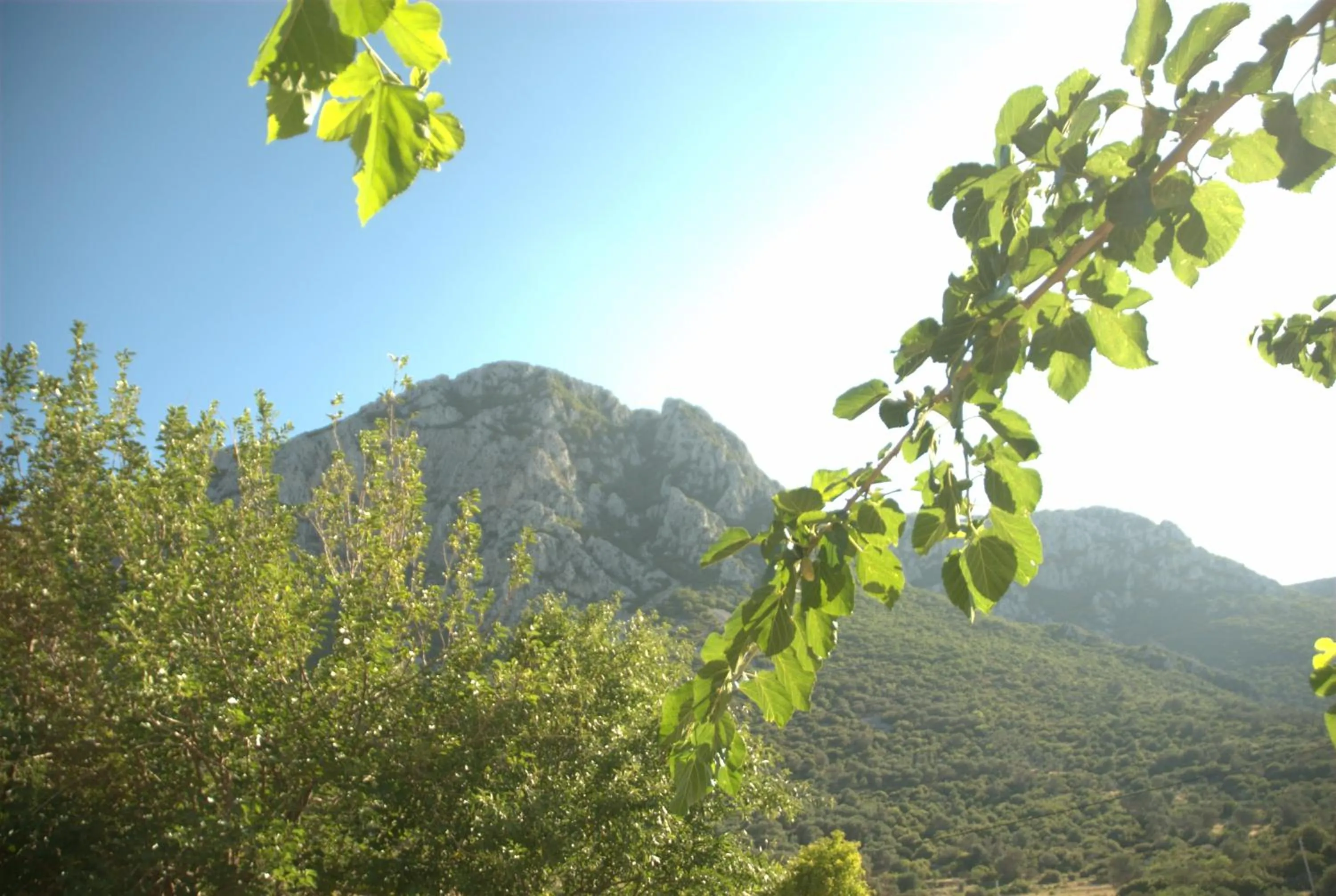 Property building in Taş Avlu Butik Otel