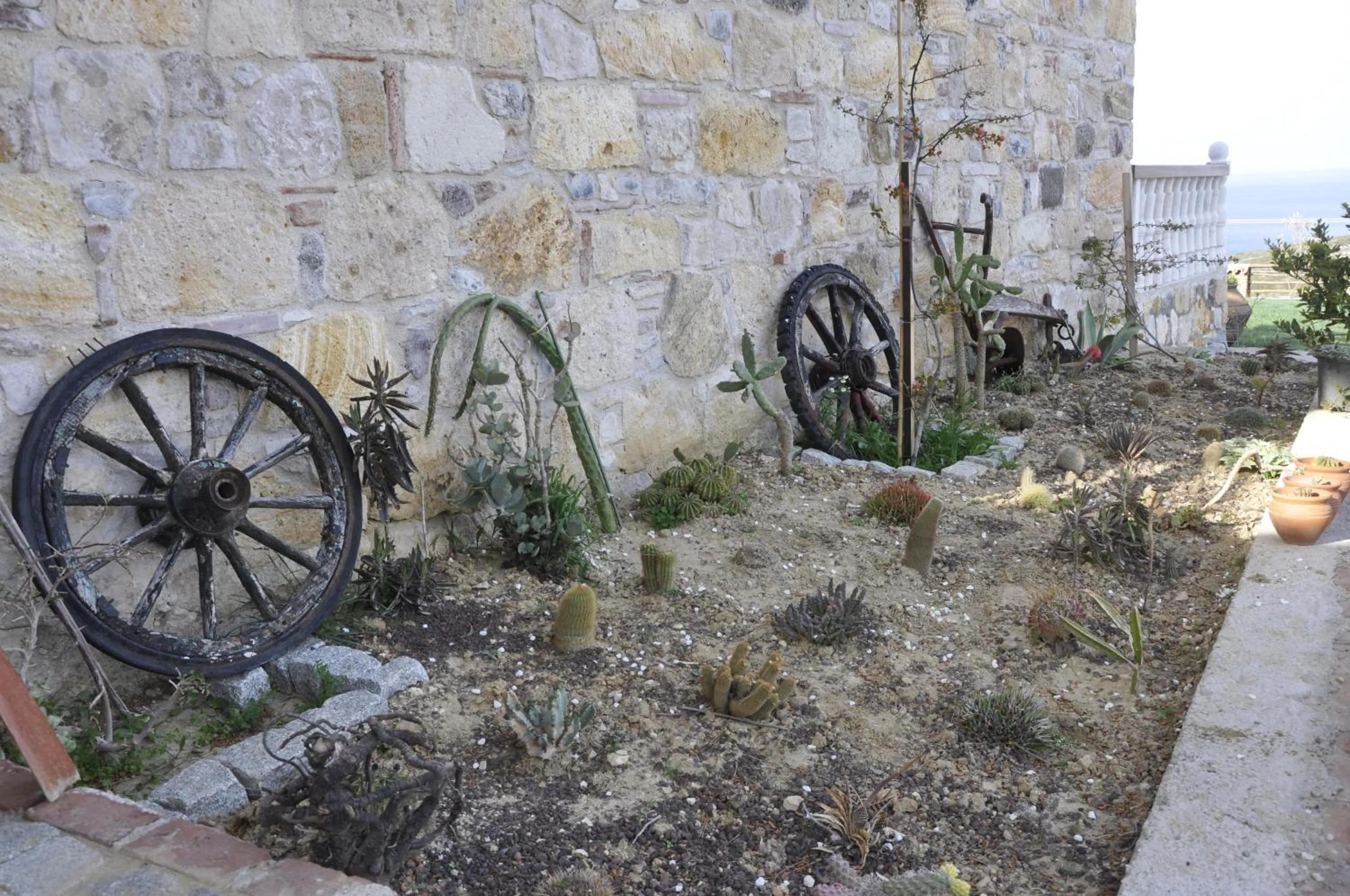 Garden in Taş Avlu Butik Otel