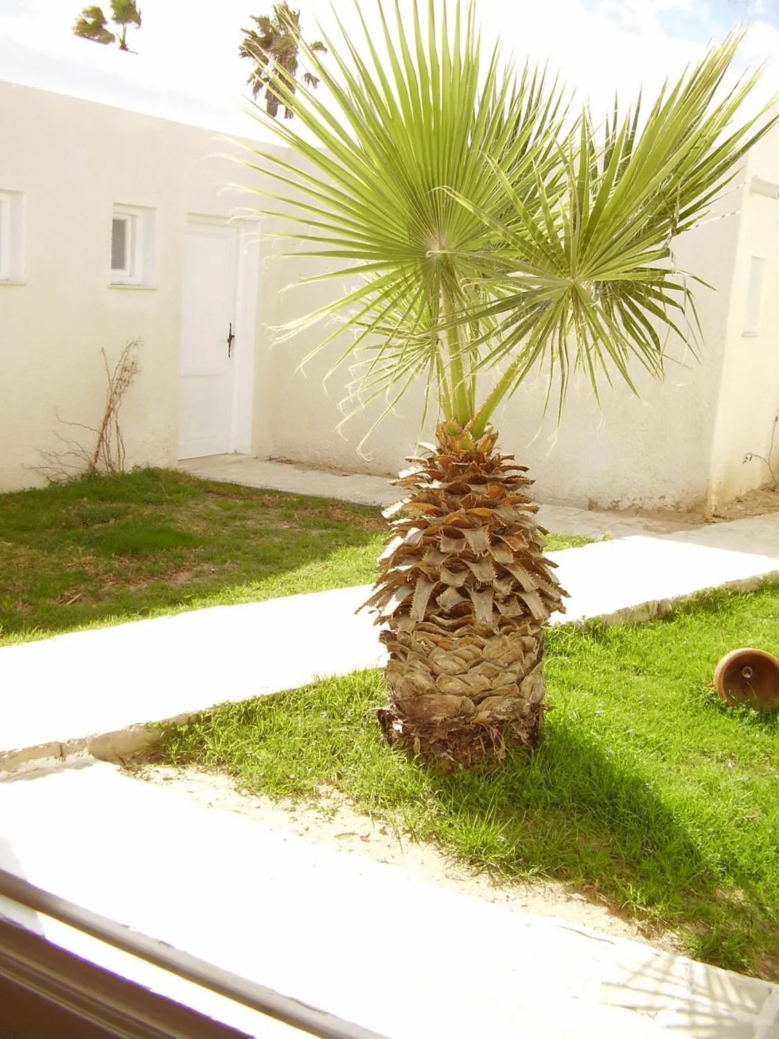 Facade/entrance in Hotel El Andalous