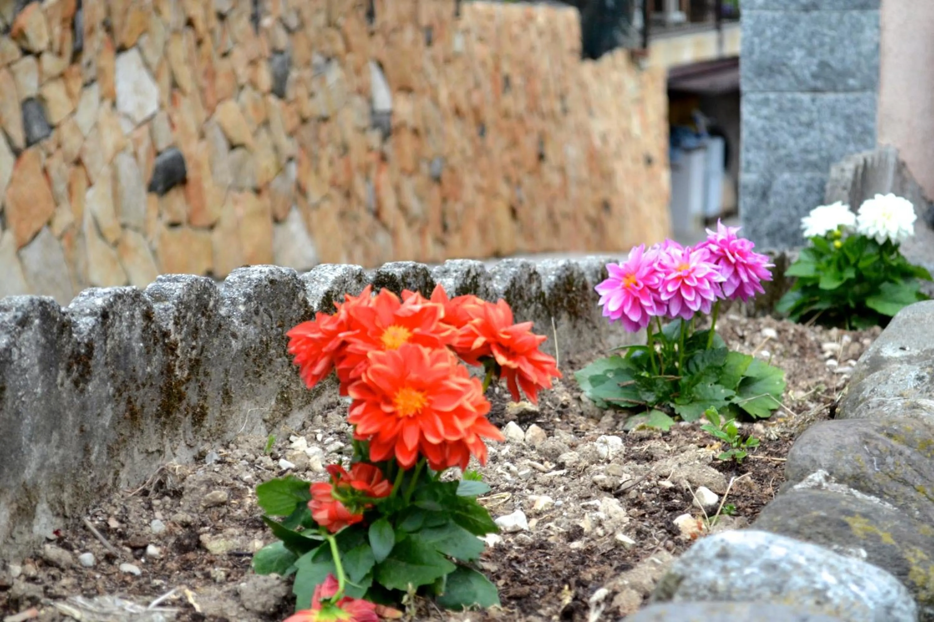 Garden in La Gemma B&B