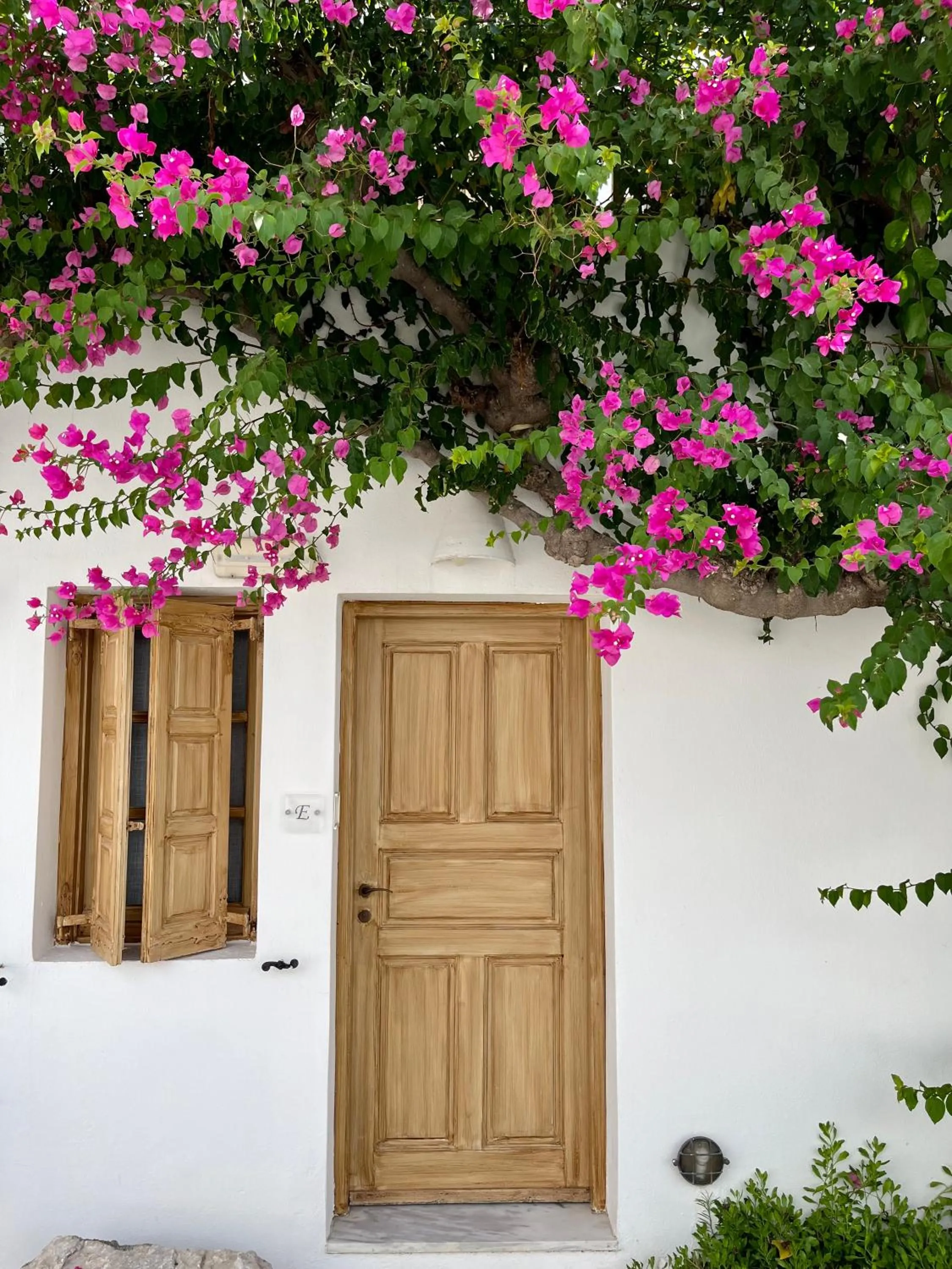 Garden view in Santorini Crystal Blue Boutique Hotel