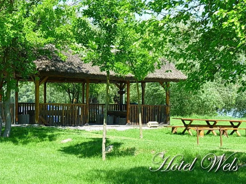 Garden in Hotel Wels