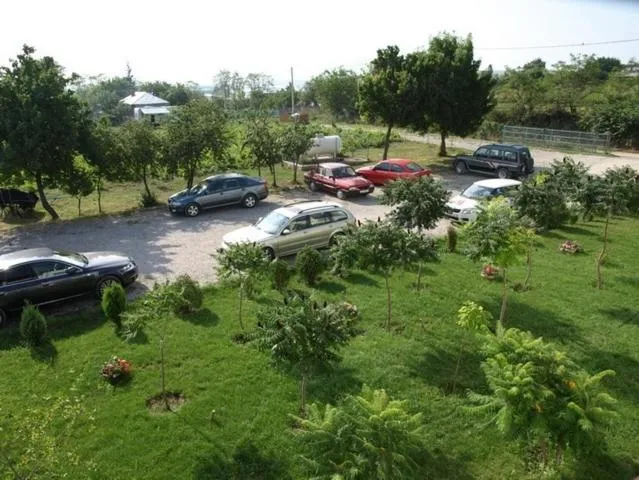 Spring in Hotel Wels