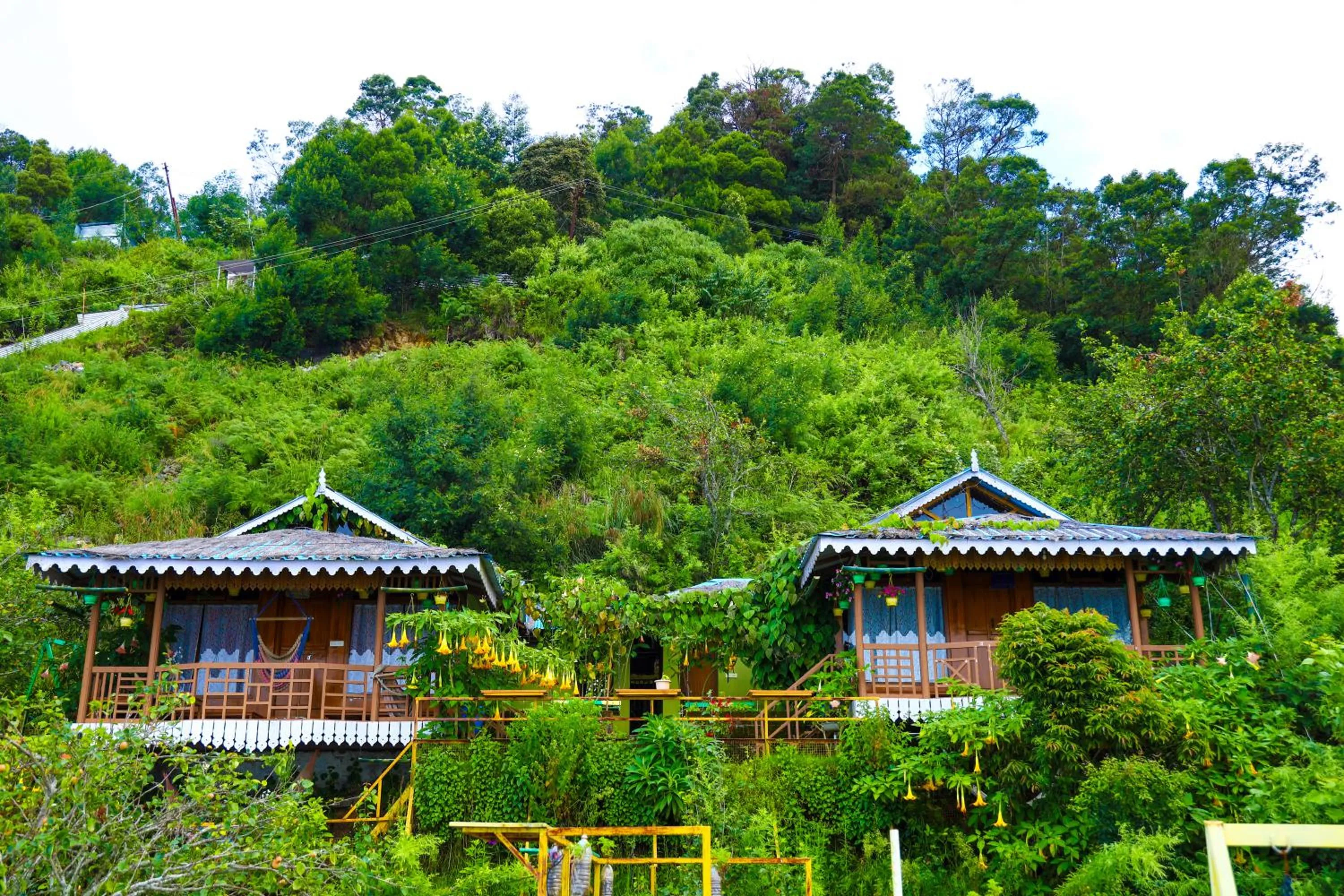The Kodai Heaven