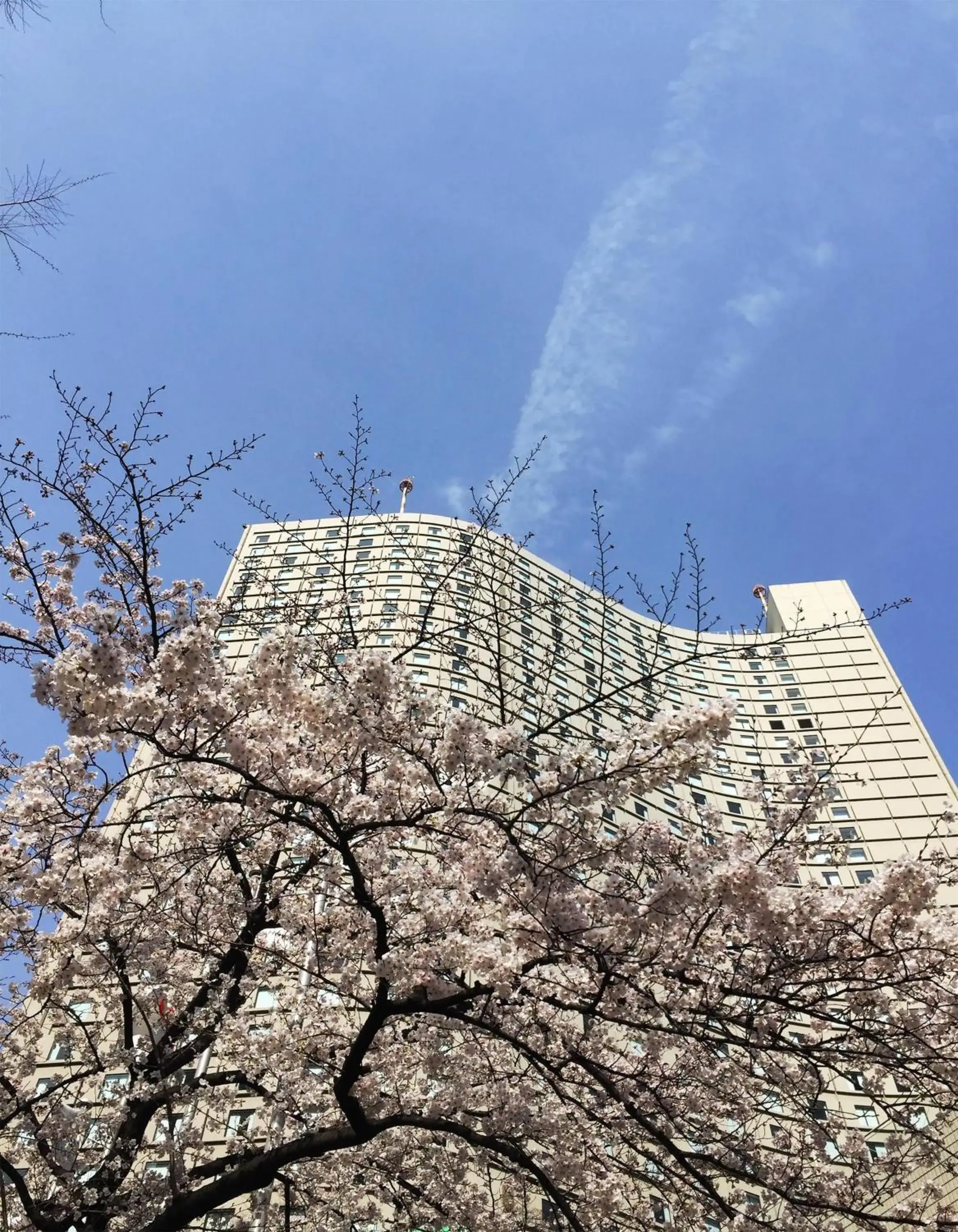 Property building in Hilton Tokyo Hotel Property building in Hilton Tokyo Hotel