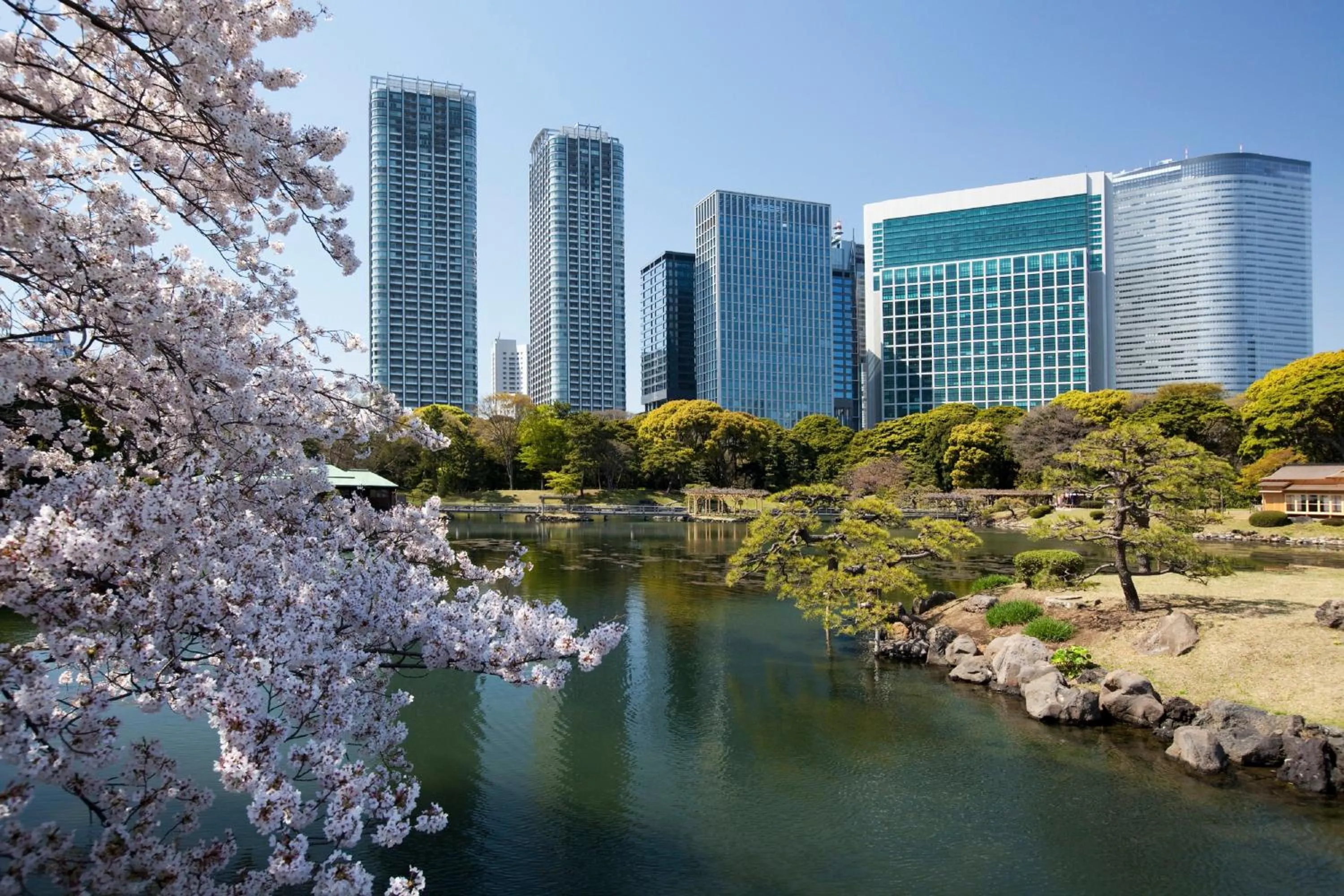 Nearby landmark in The Strings by InterContinental, Tokyo by IHG