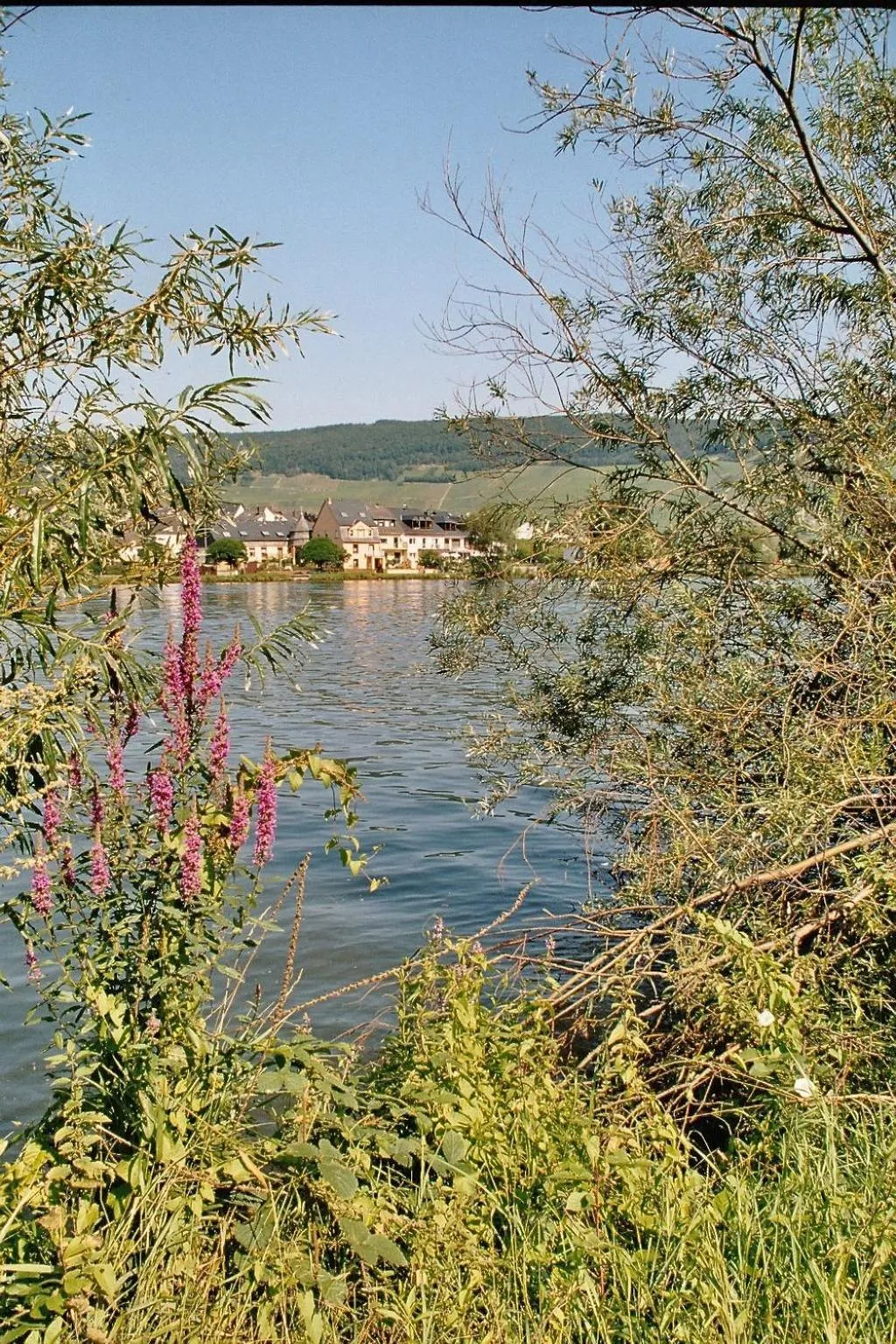 Natural landscape in Alt Reinsport