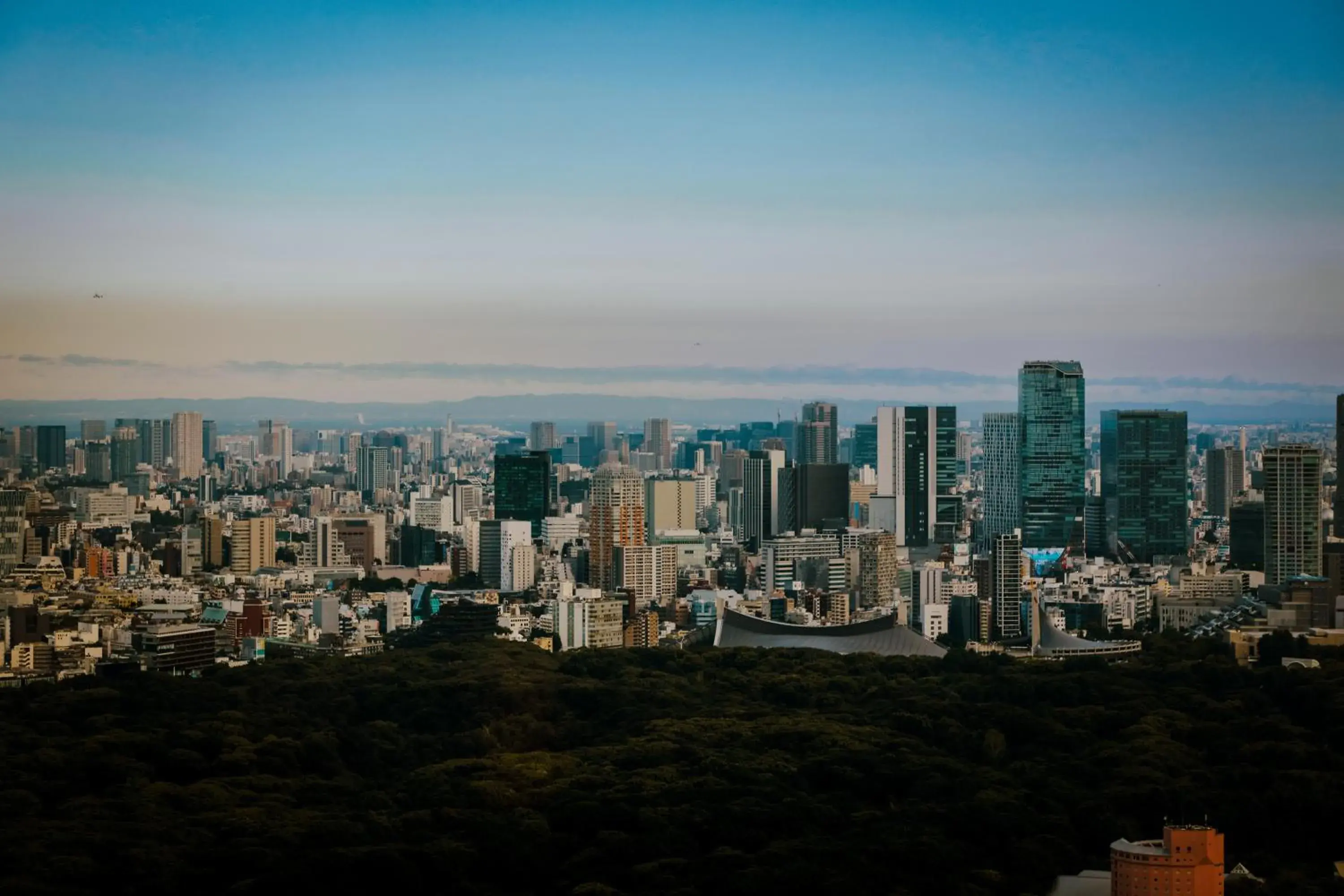 City view in Park Hyatt Tokyo City view in Park Hyatt Tokyo
