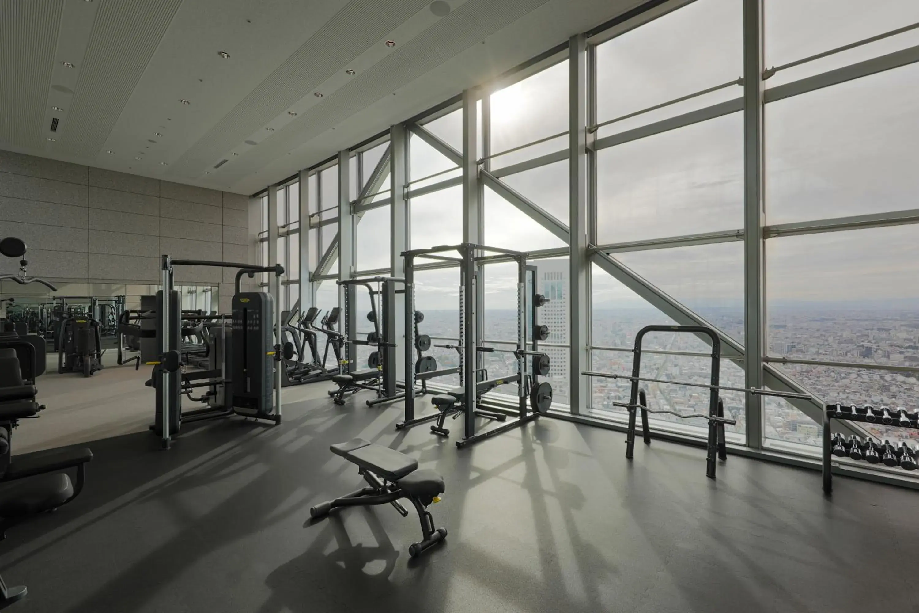 Fitness centre/facilities in Park Hyatt Tokyo Fitness centre/facilities in Park Hyatt Tokyo