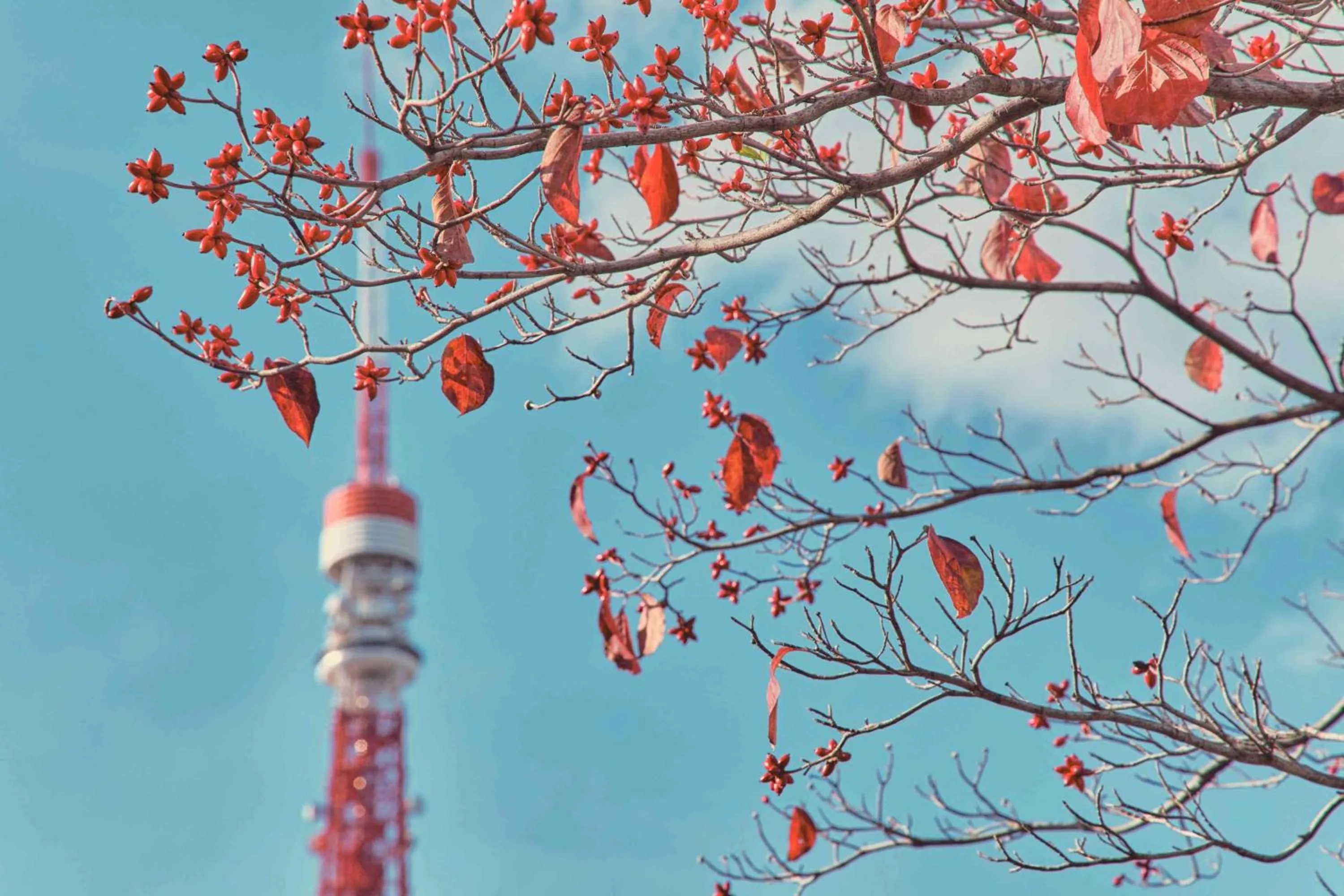 Nearby landmark in Shiba Park Hotel