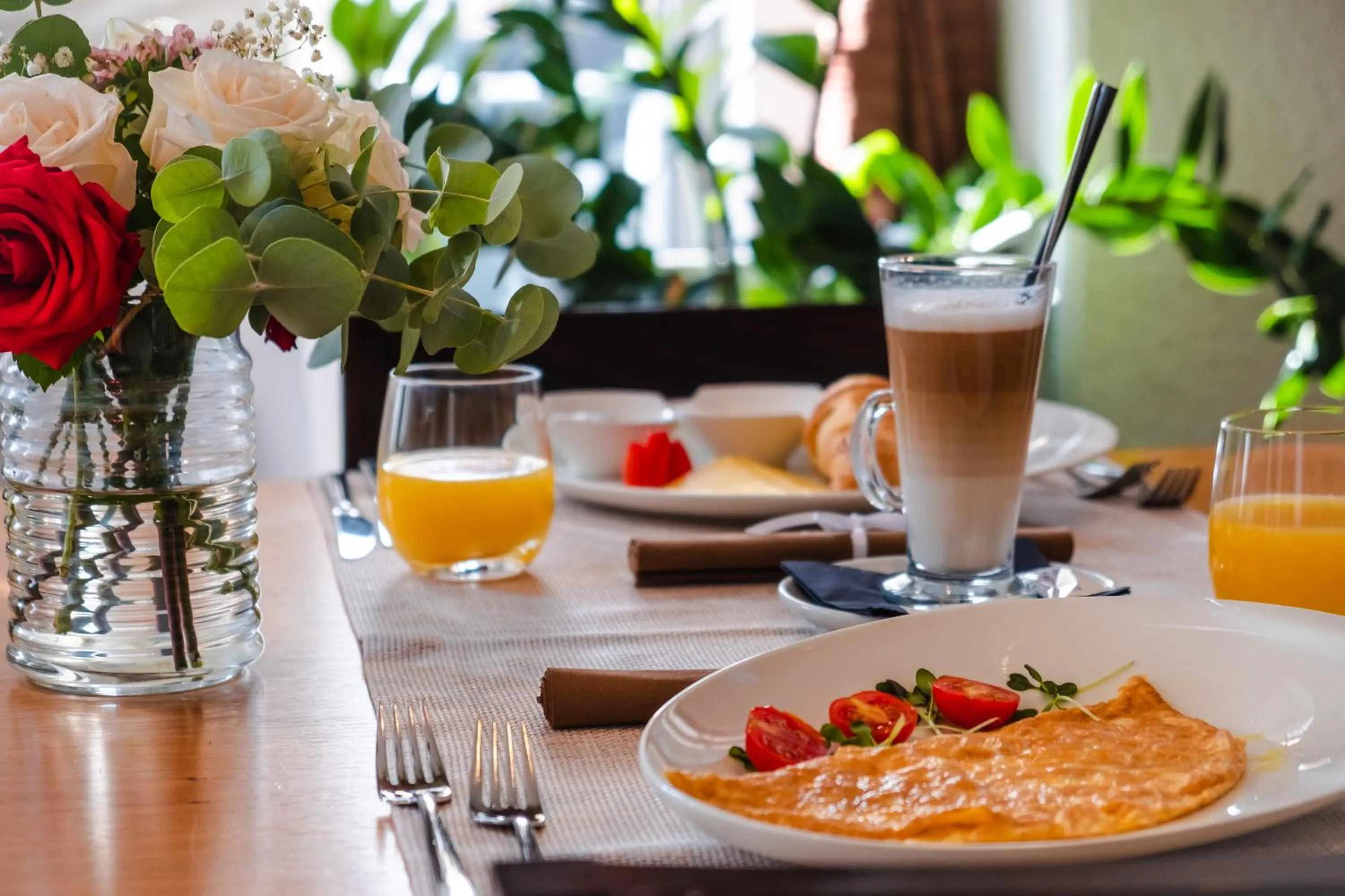 Food and drinks in Marina Baotić Apartments