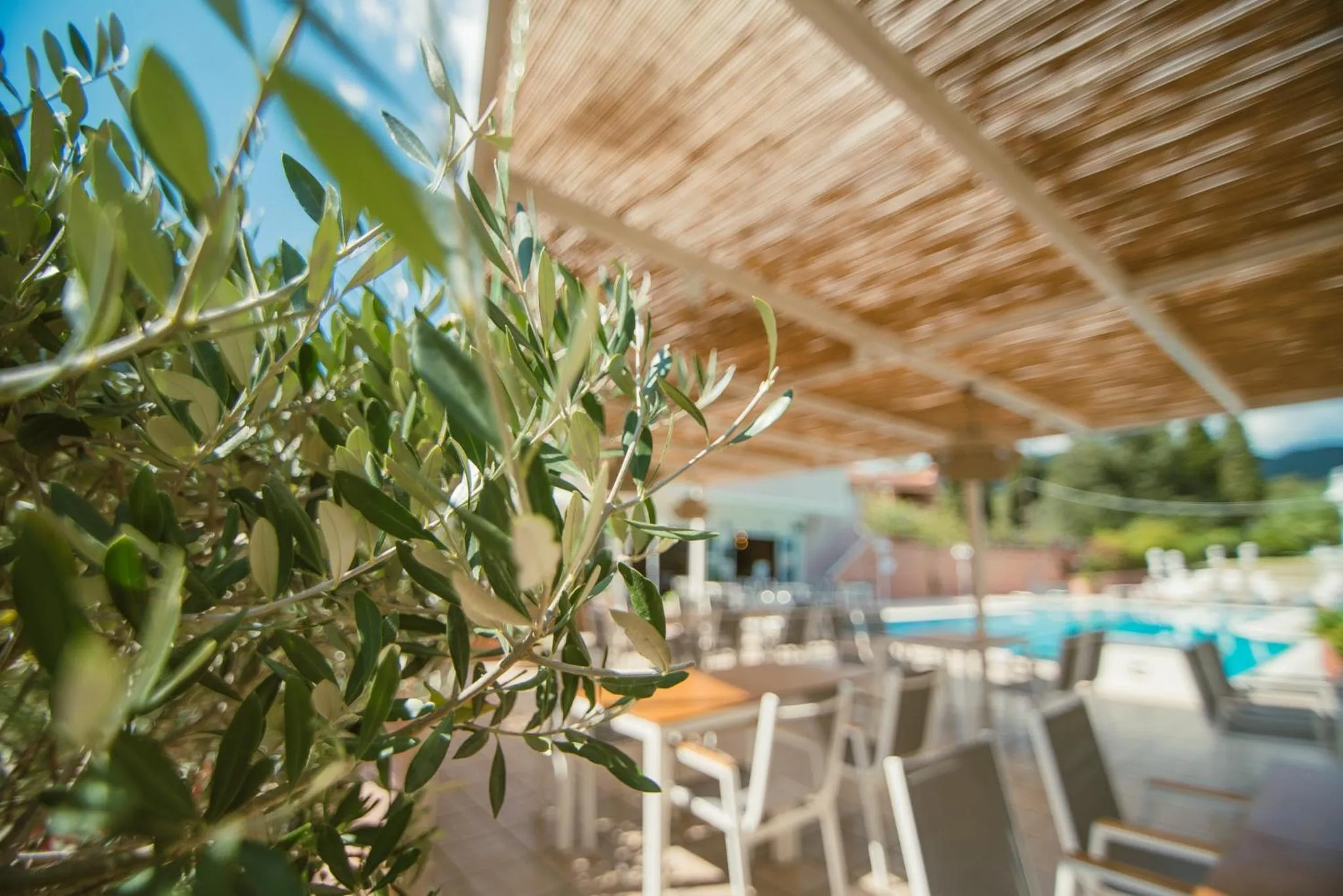 Property building in Dominoes Corfu