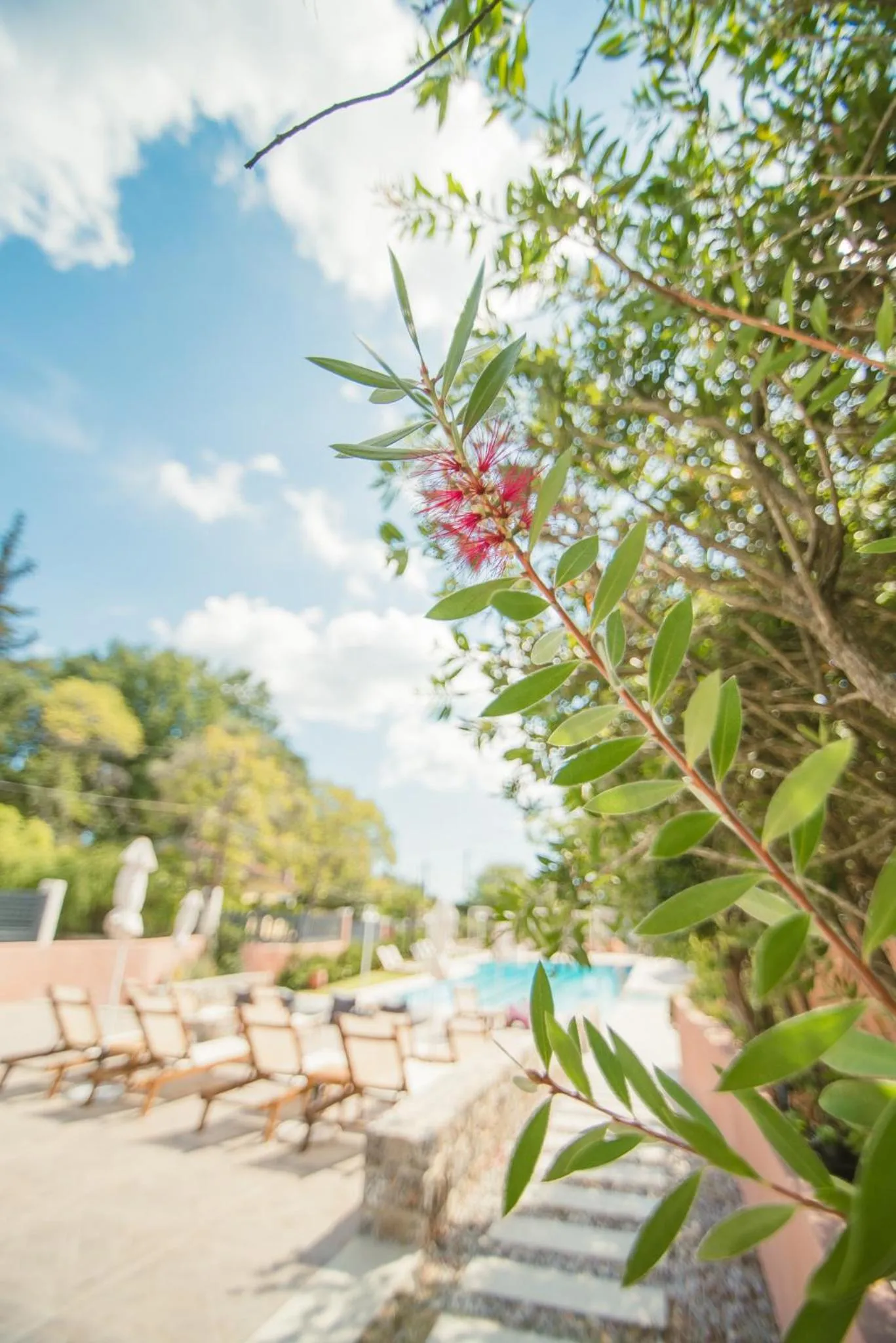 Property building in Dominoes Corfu