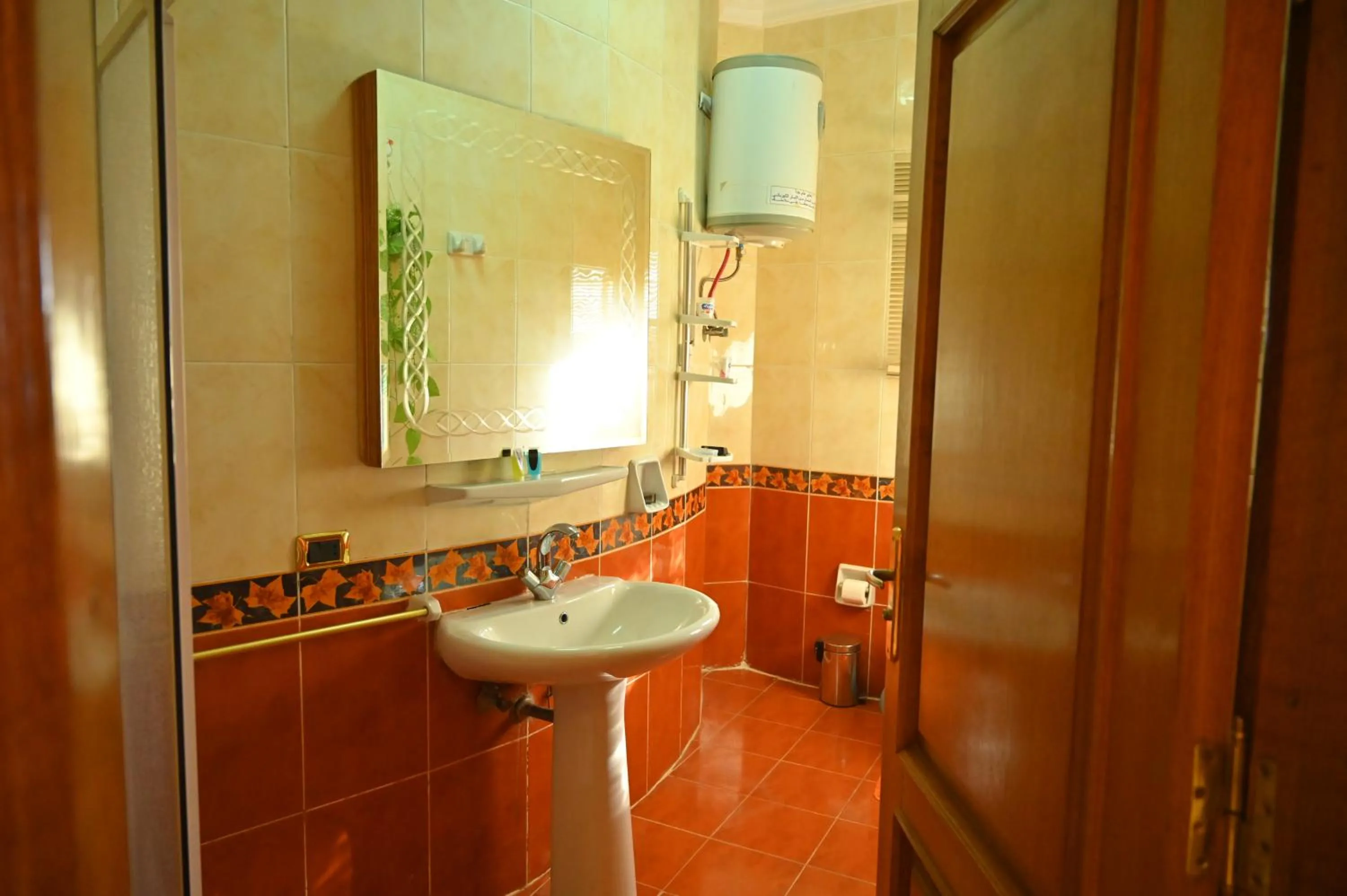 Bathroom in Fayoum Hotel