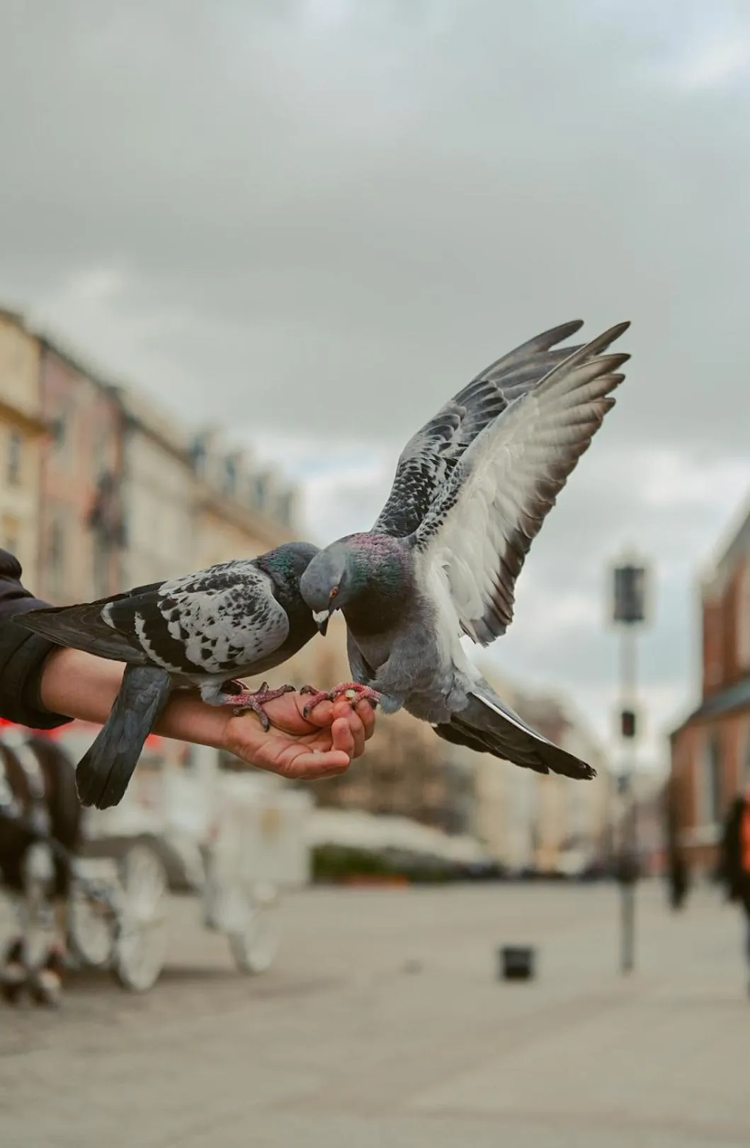 Nearby landmark in Well Well Aparthotel